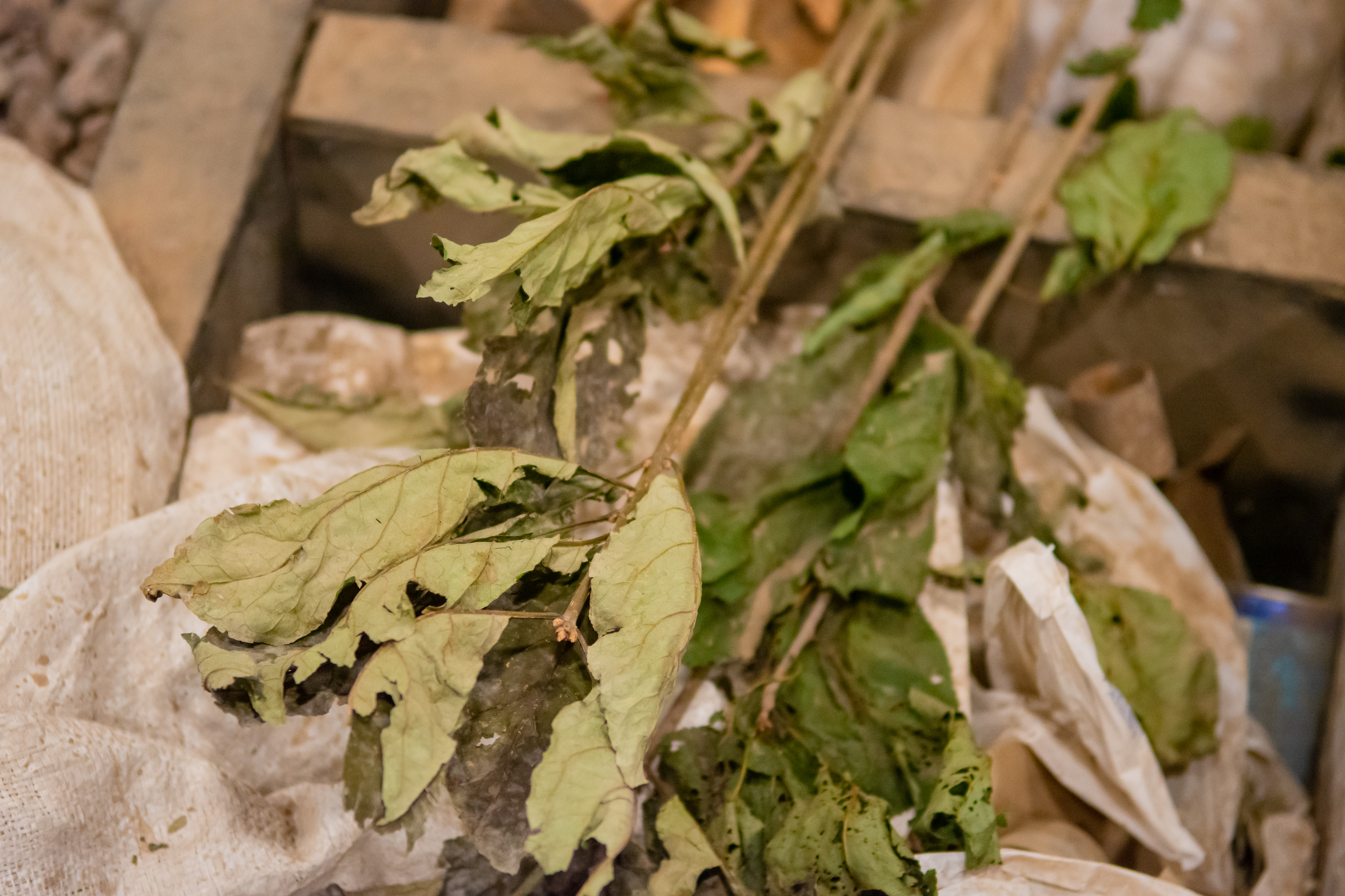 Сергей Фигнер рассказал о секретах работы звукооформителя на «Ленфильме»7