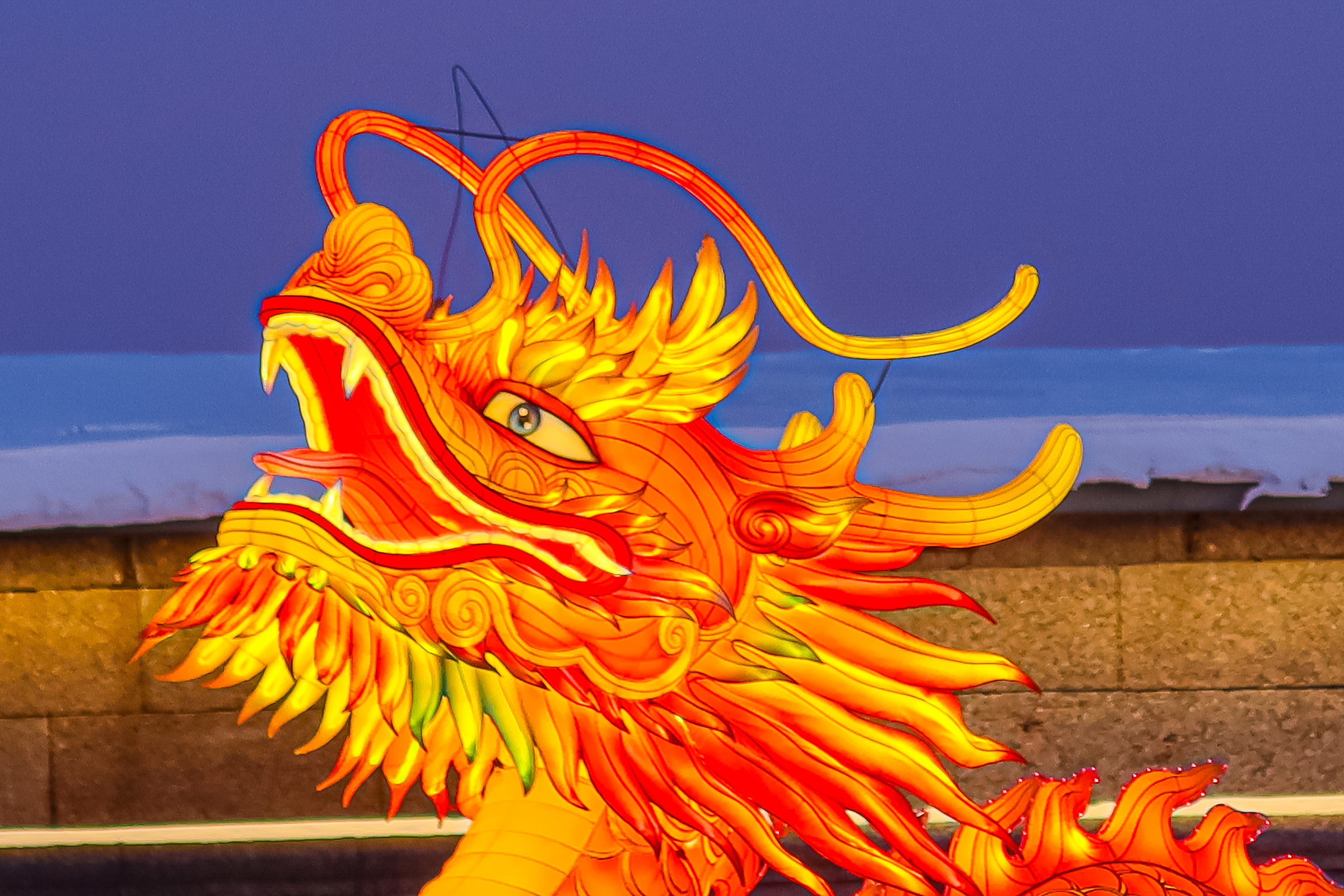 Драконы и фениксы из Цзыгуна поселились на Заячьем острове20