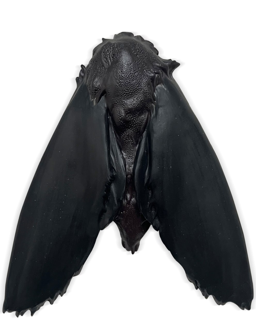 С Петровской косой произойдут «Метаморфозы»1