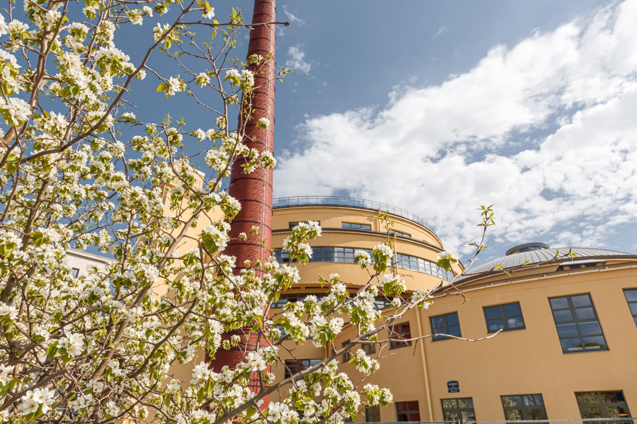 У Левашовского хлебозавода откроется танцплощадка 1