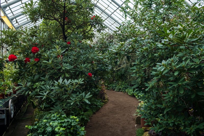Правообладатель фото: Пресс-служба Культурно-просветительского центра БИН РАН.