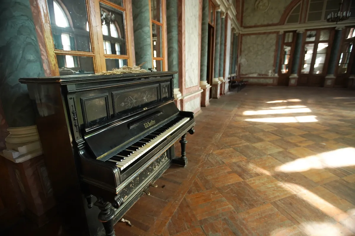 Усадьбу Жерновка отреставрируют и приспособят под музыкальную школу5