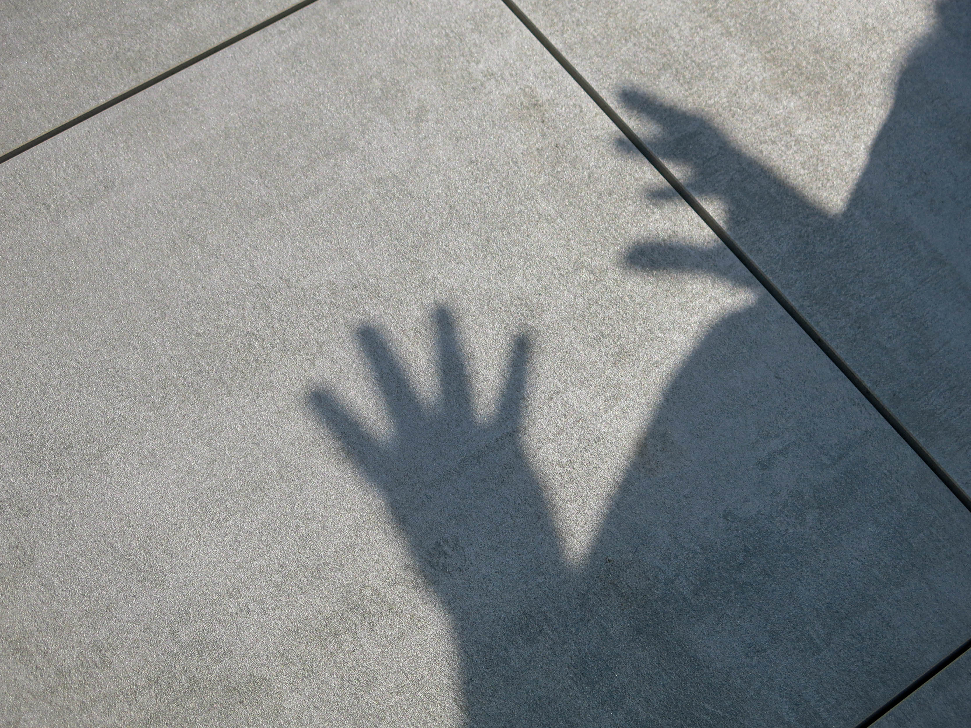 Культура и глухие — встреча на высоте над городом38