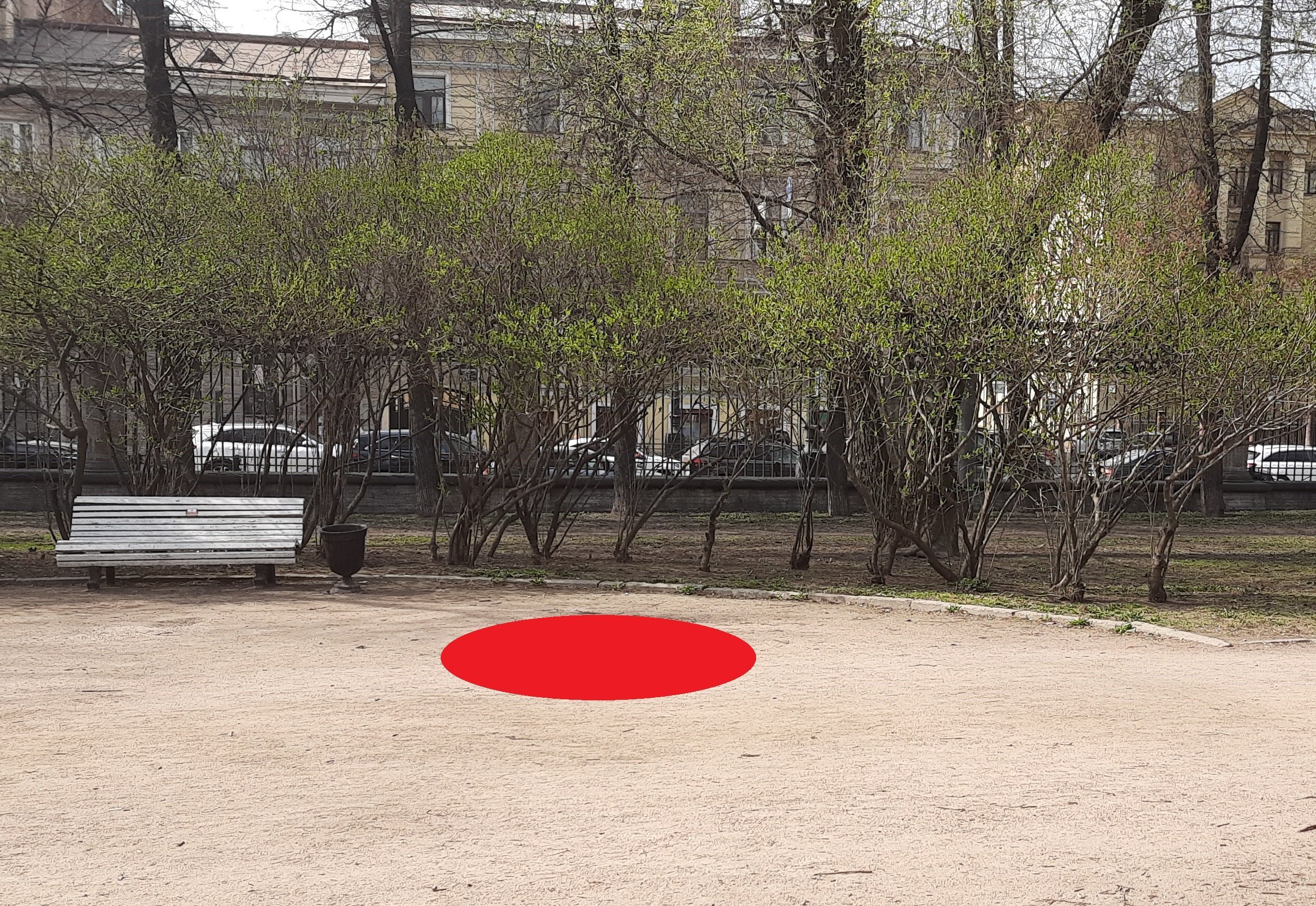 Сад Олимпия между Московским пр., Клинским пр., Батайским пер. и Малодетскосельским пр.