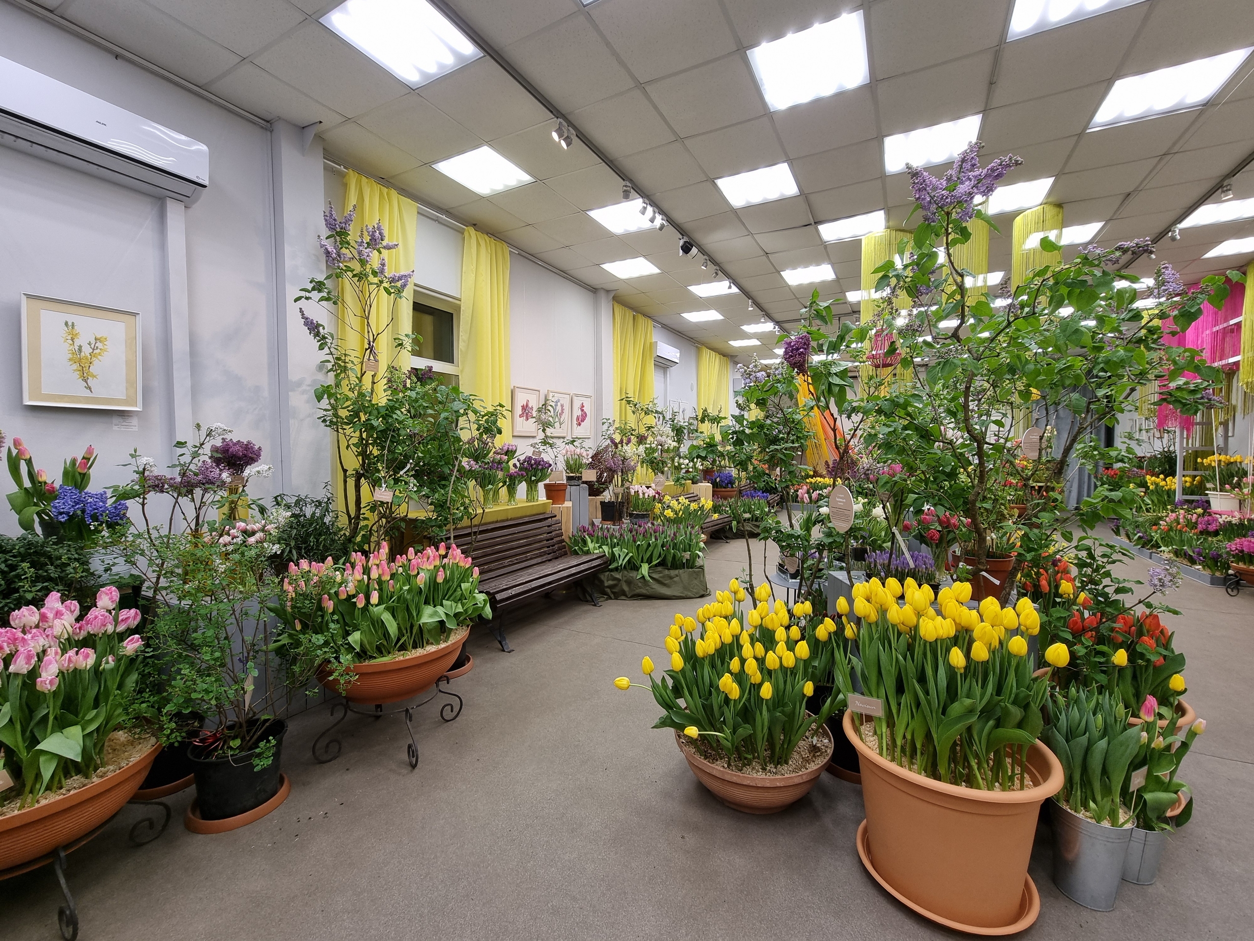 Свидание в Петербурге: куда пойти вдвоём с 27 февраля по 1 марта 2026 года5