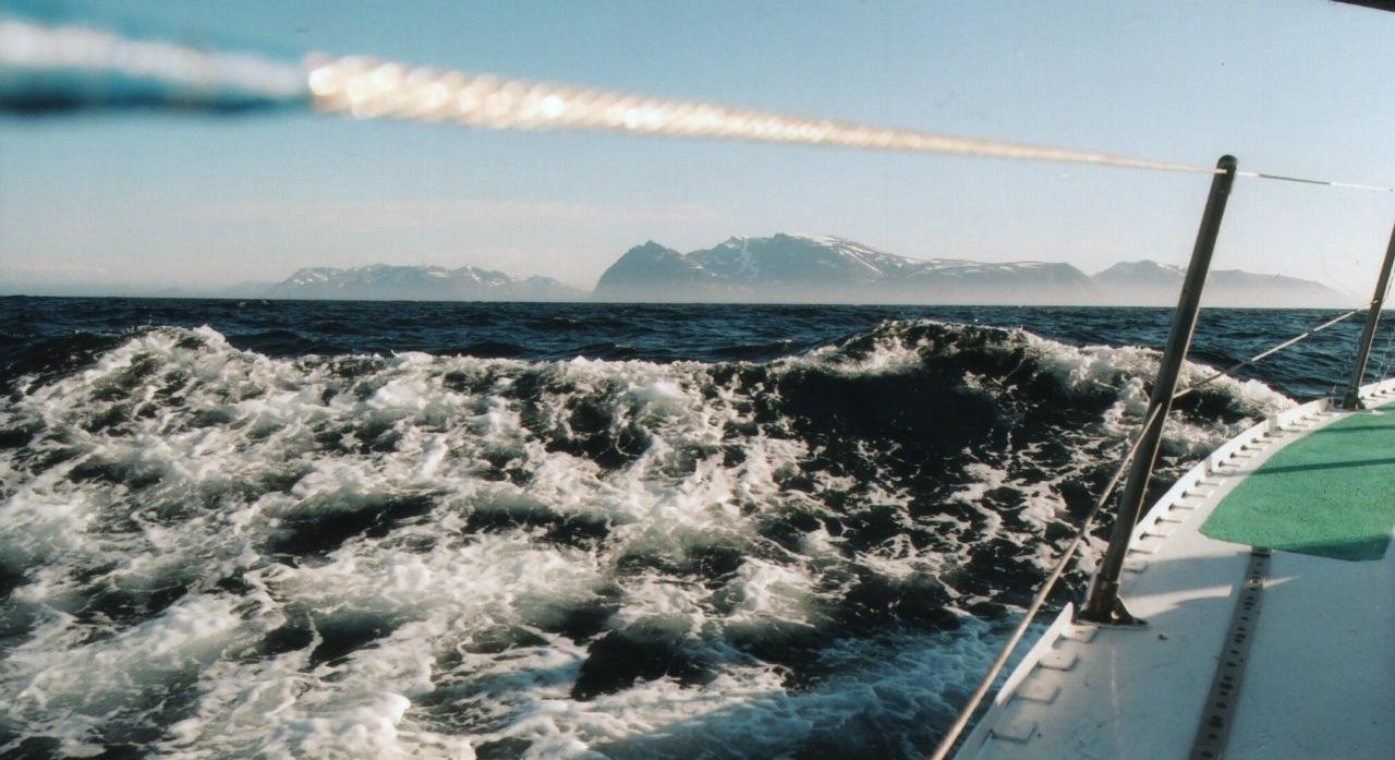 «Море зовёт!» - международный кинофестиваль снова пройдёт в Петербурге