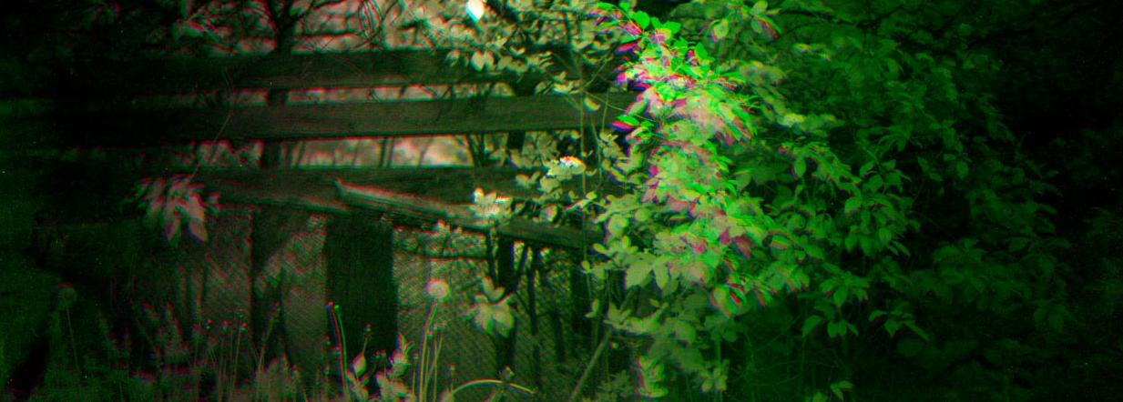 Правообладатель фото: Пресс-служба БКЦ «НОТА».