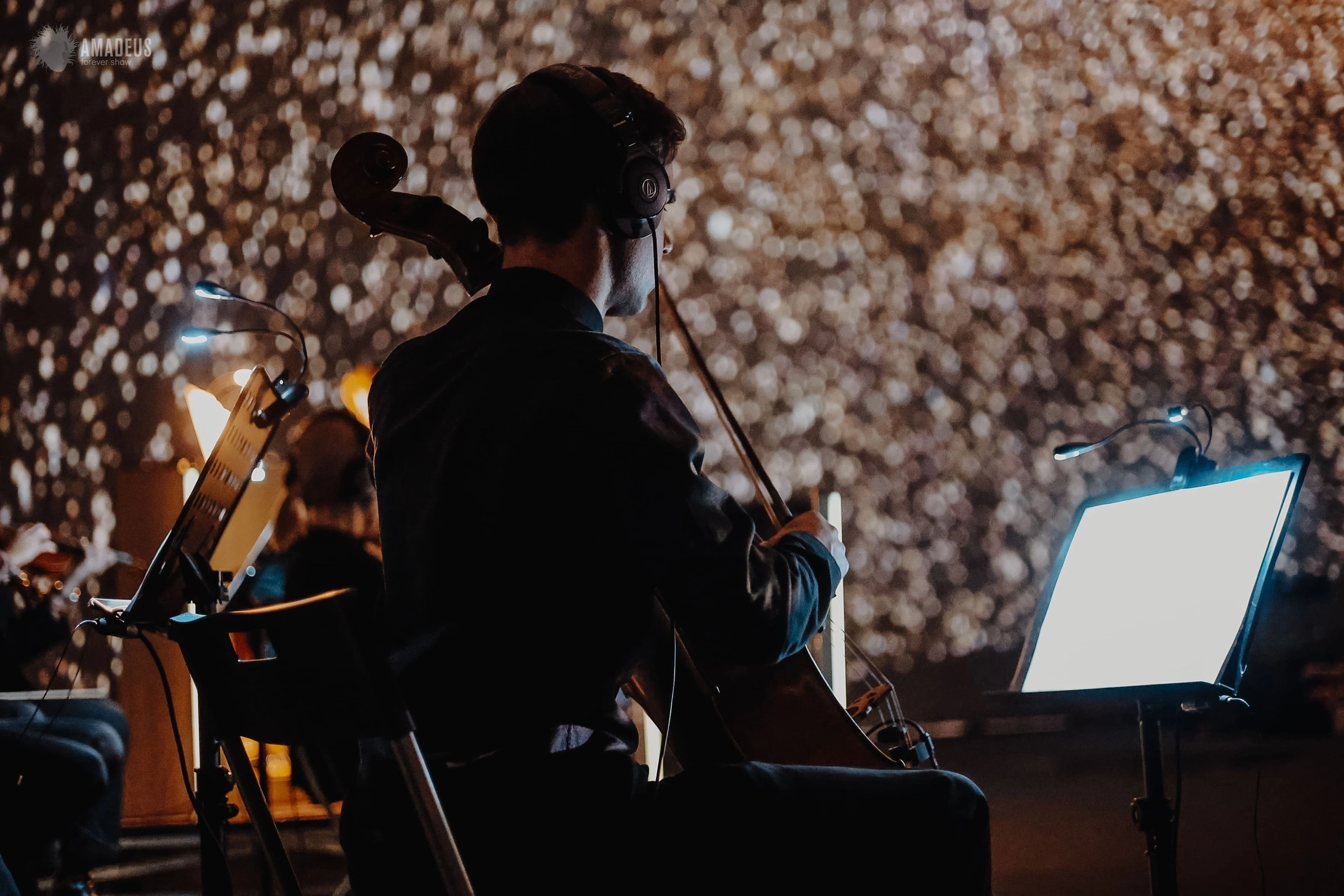 В Планетарии № 1 звездные миры будут изучать под звуки органа и струнного оркестра3