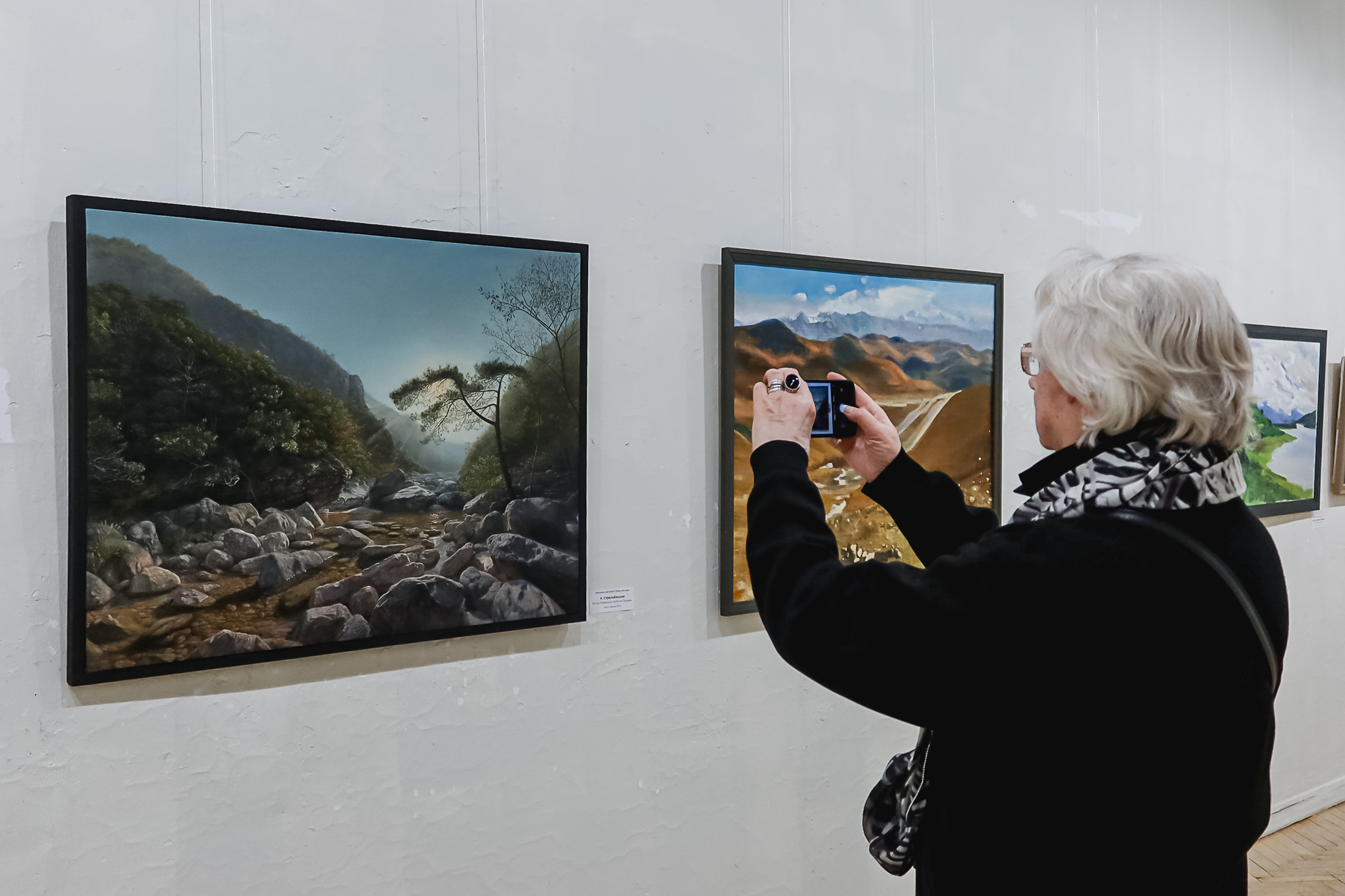 Как воспринимают Китай русские живописцы, можно узнать в Союзе художников1