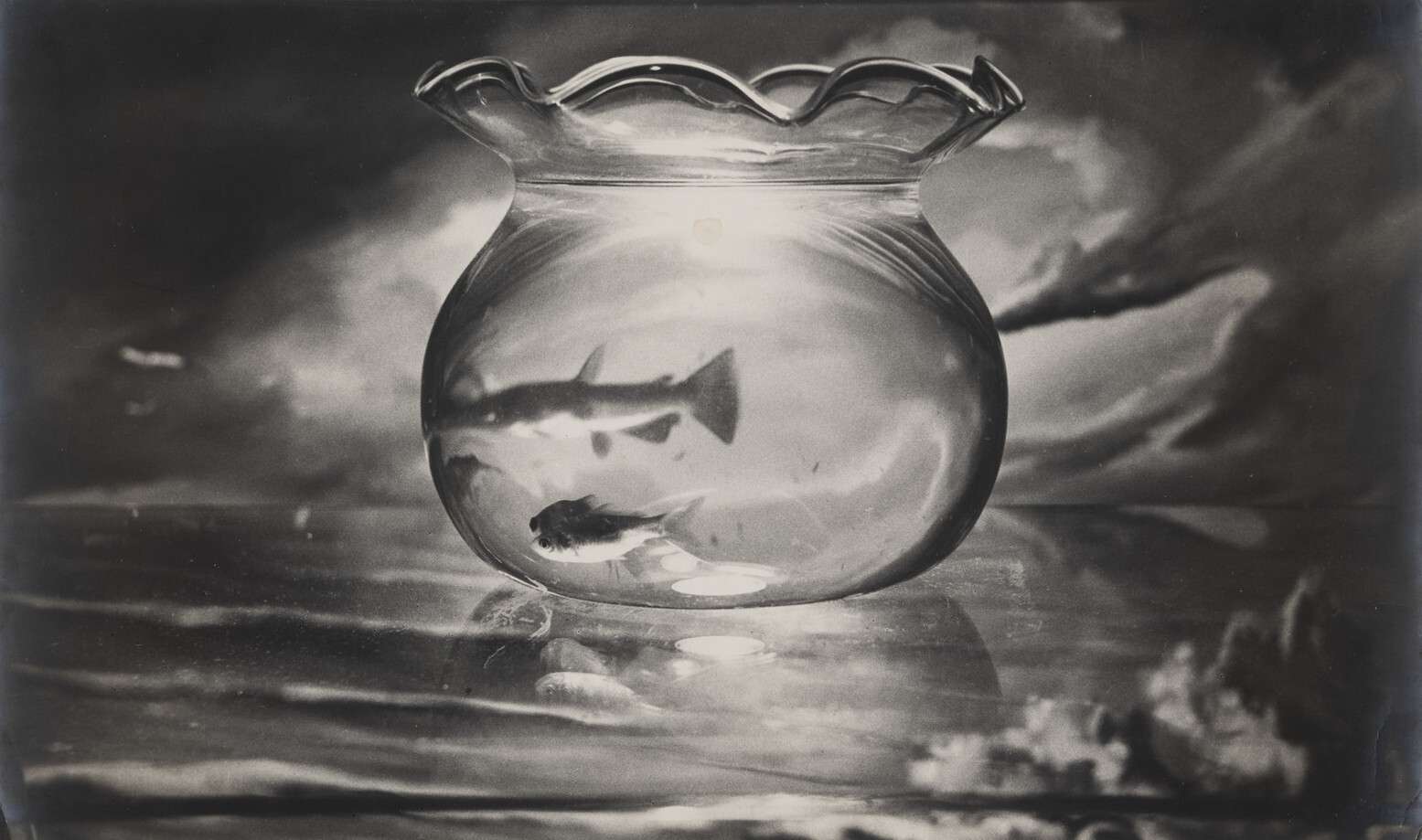 В РОСФОТО представят шедевры мирового фотоискусства 1950–1960-х годов