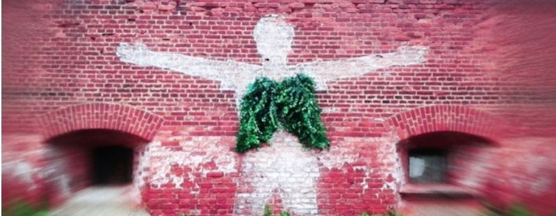 «КронФест-2025» XVI Международный экологический фестиваль искусств (23 августа 2025 года)