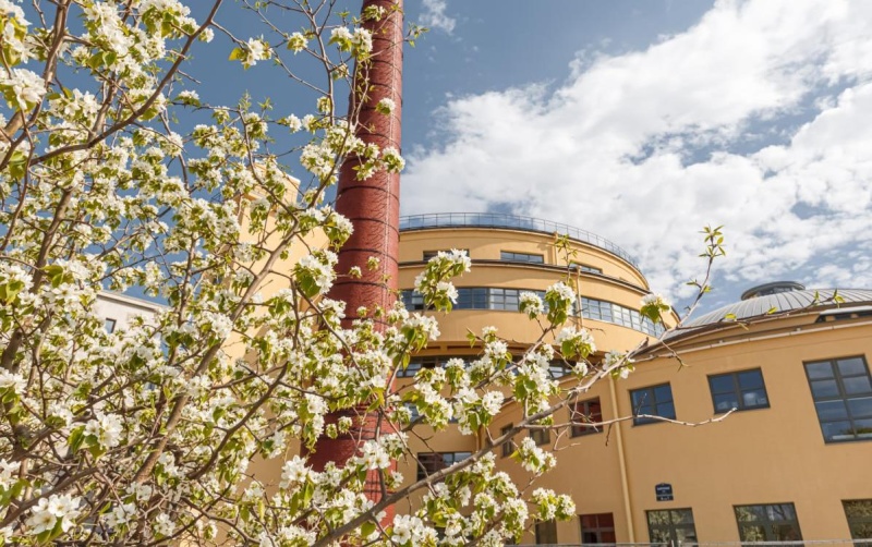 «Танцплощадка Победы» откроется у Левашовского хлебозавода  