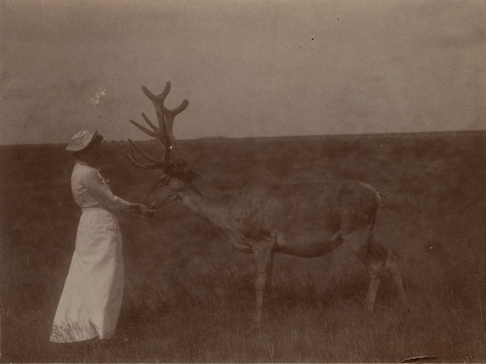 «Аскания-Нова. Письма из земного рая» - выставка в РОСФОТО4