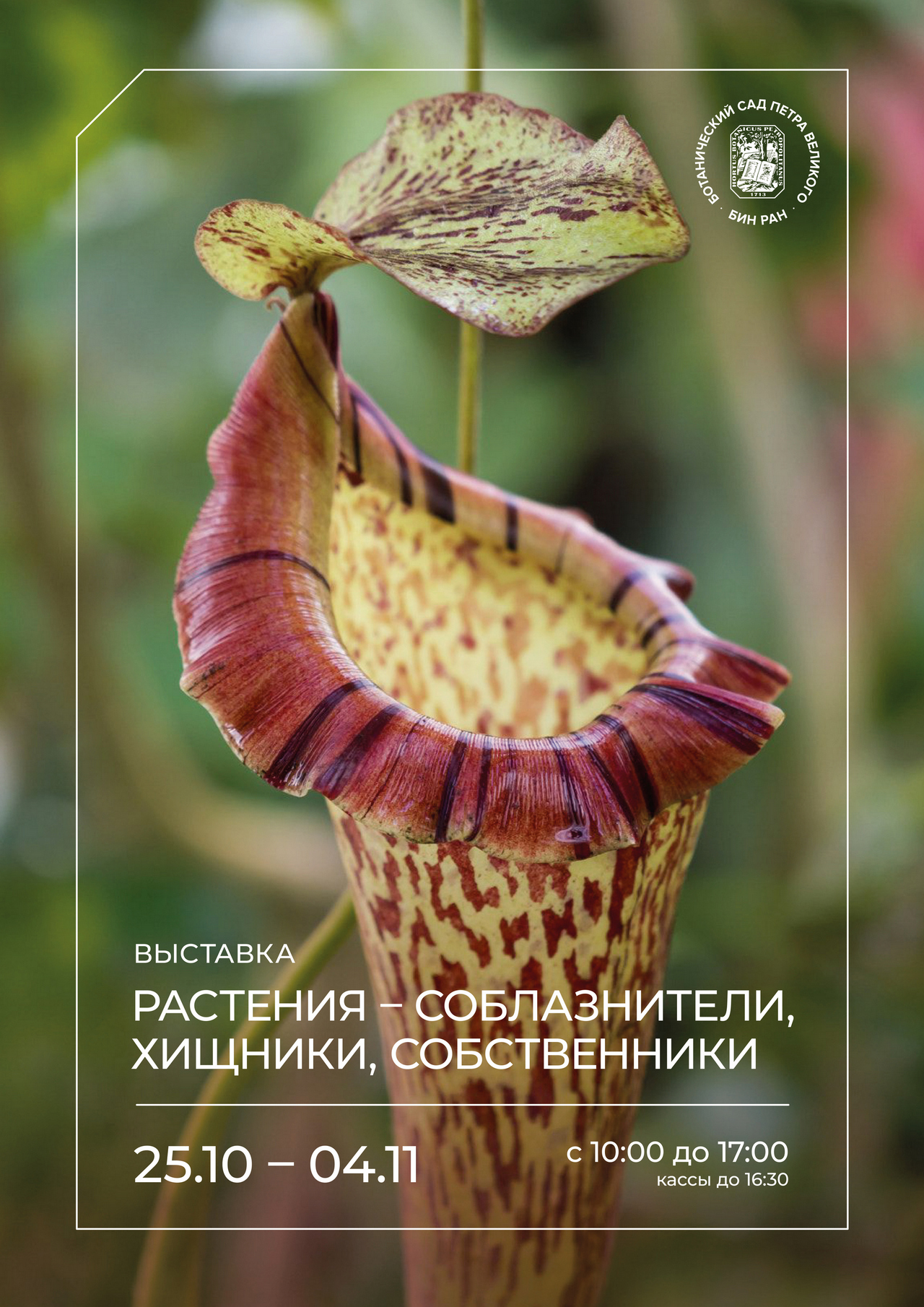 «Ботанические каникулы» расскажут о растениях-соблазнителях, хищниках и собственниках4
