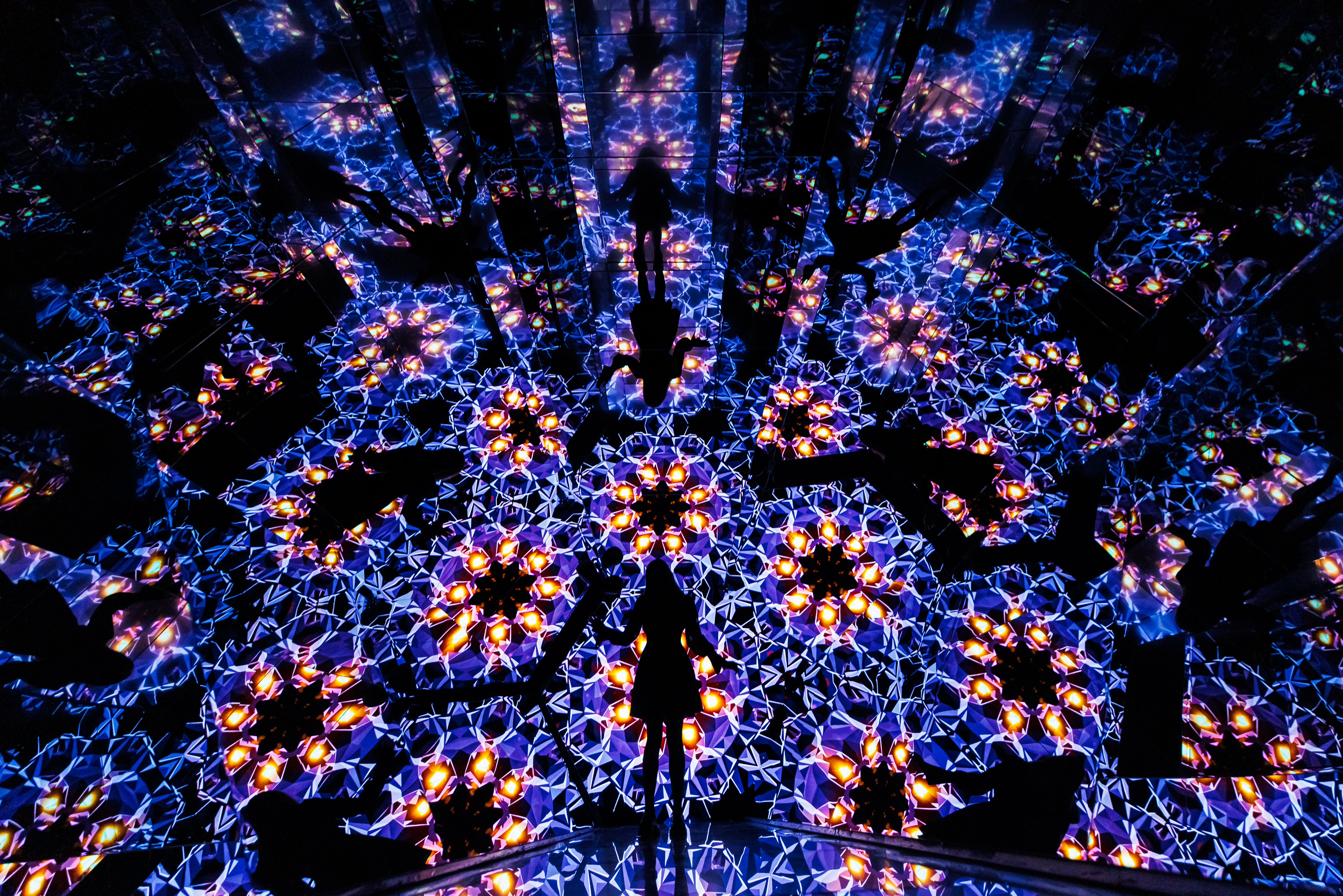 Петербургские художники превратят шрамы в свет12