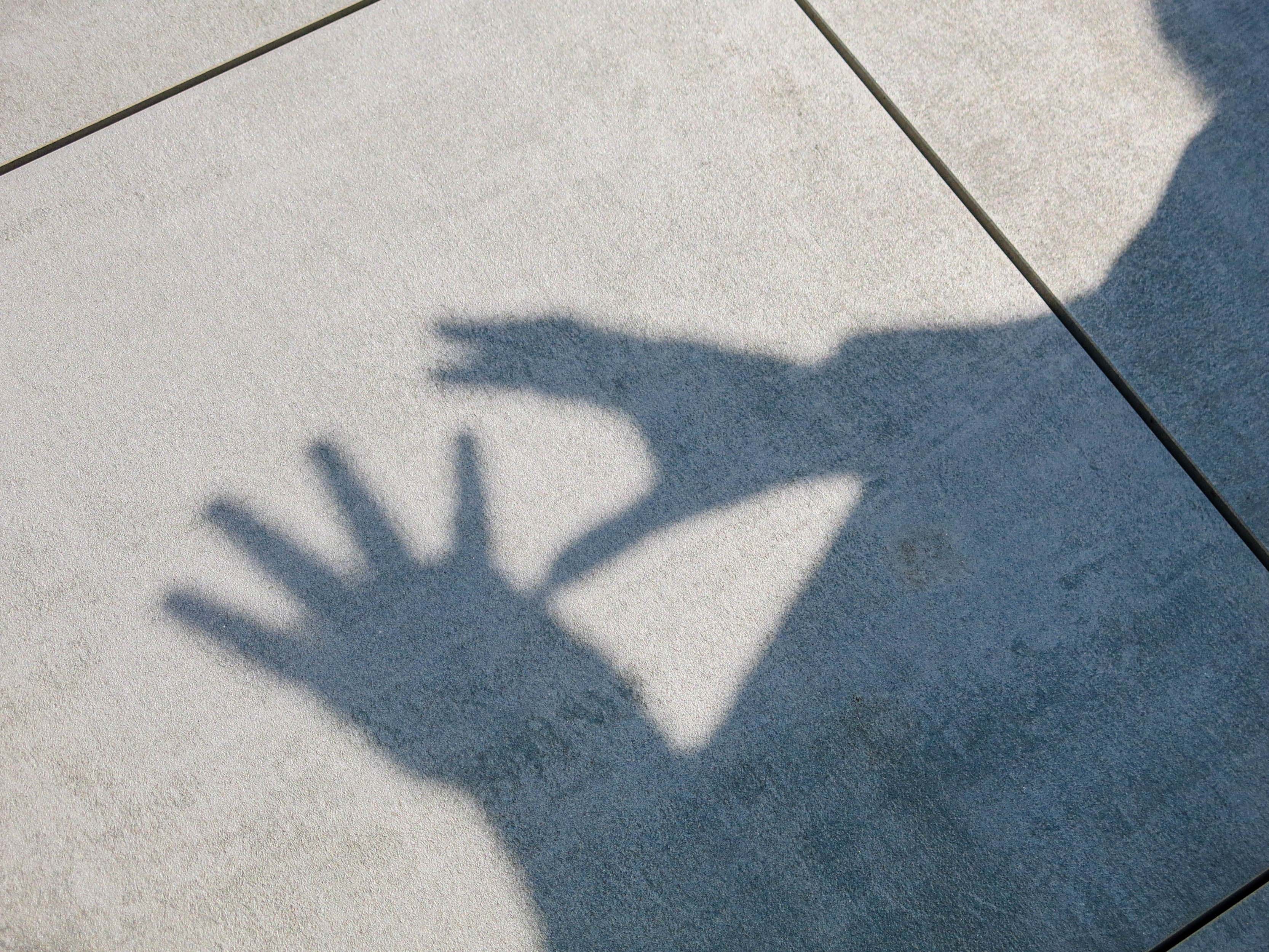 Культура и глухие — встреча на высоте над городом39