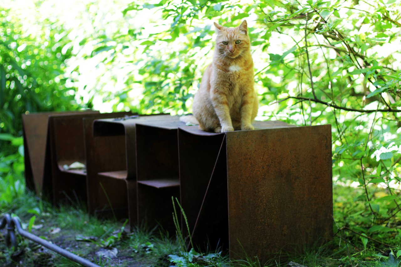 Музей Анны Ахматовой в Фонтанном доме 4