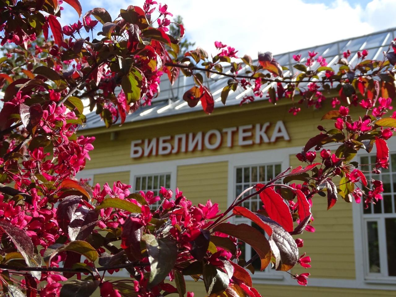 Библиотека «Место под солнцем» 0