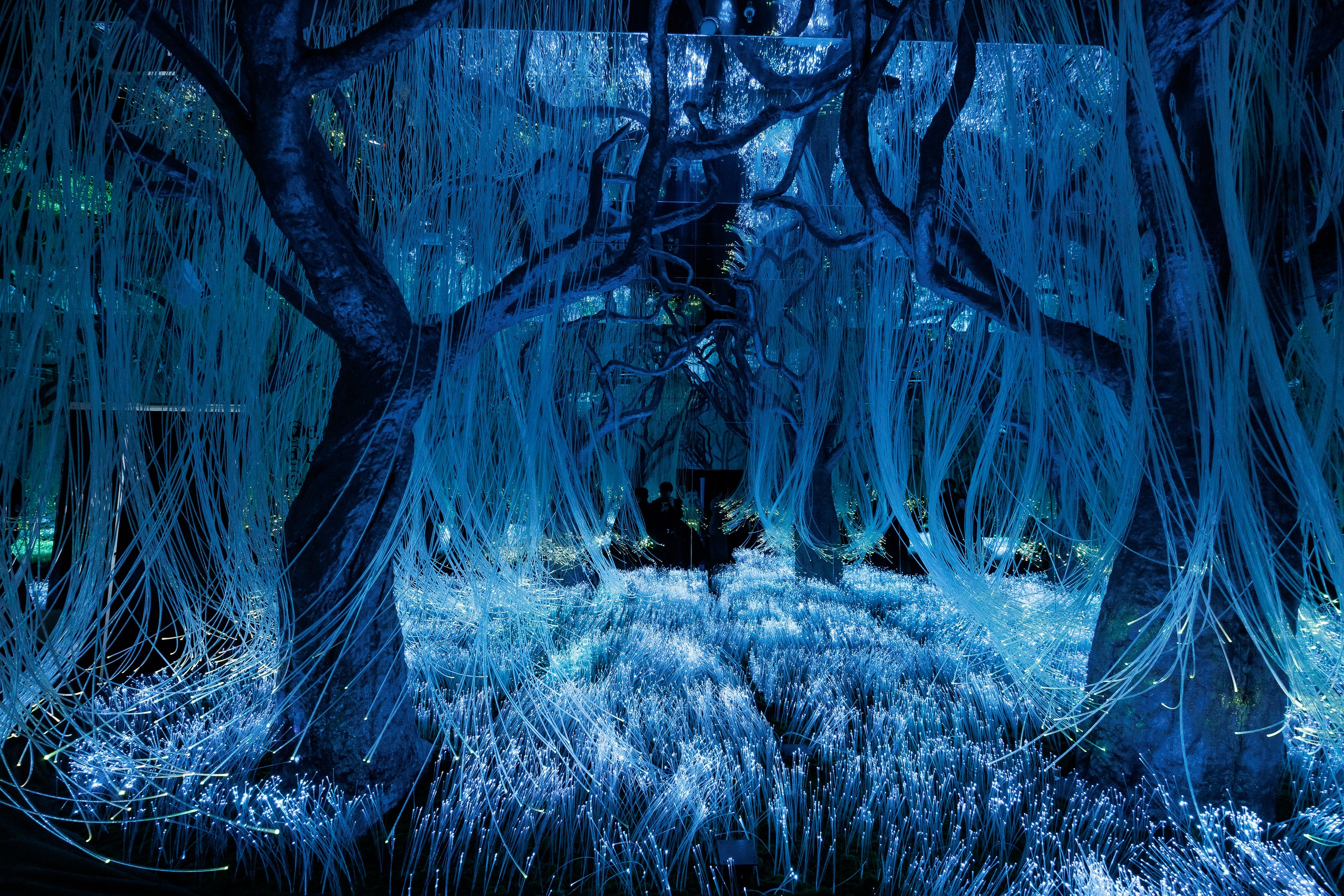 Петербургские художники превратят шрамы в свет9