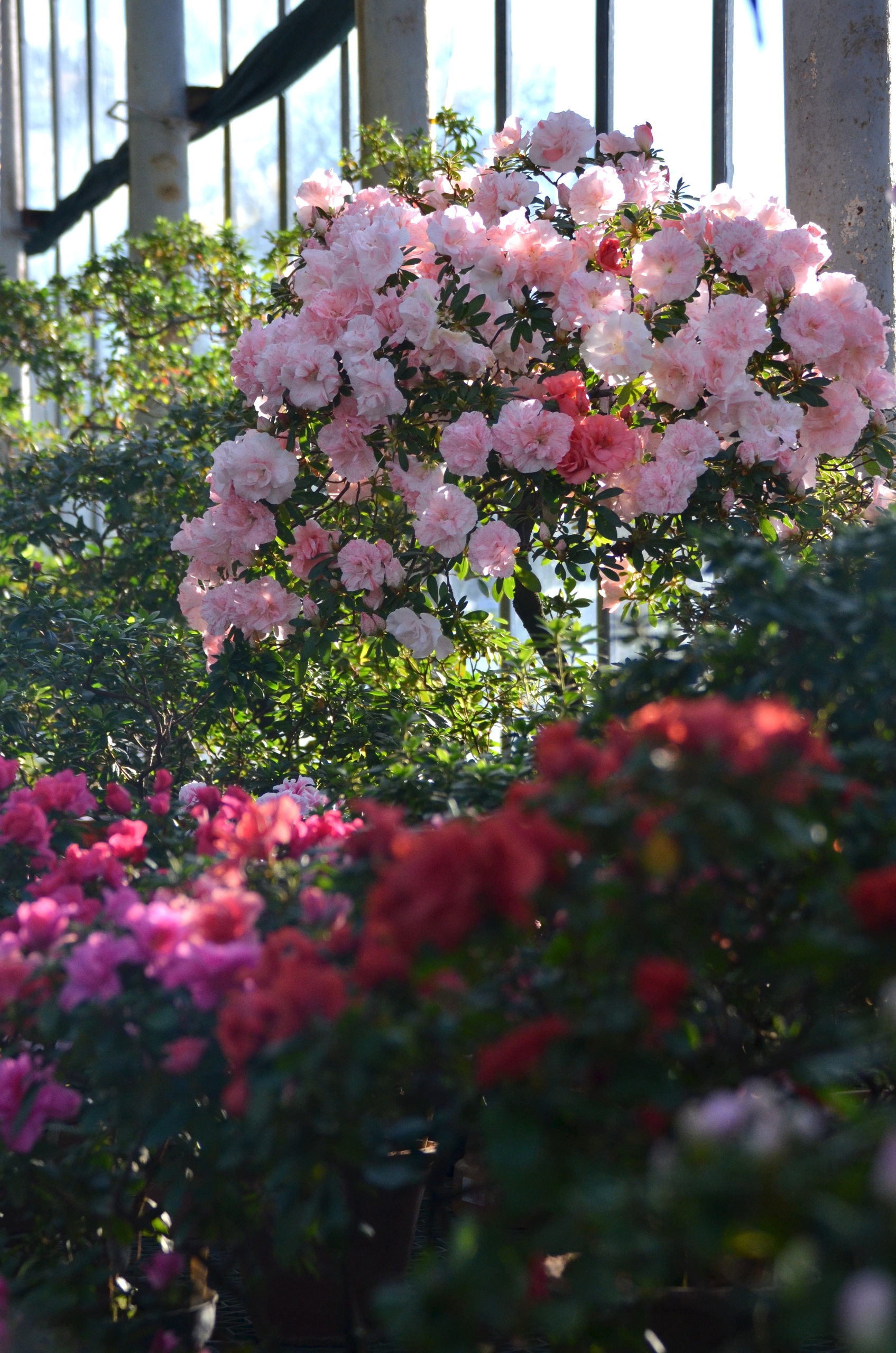 Свидание в Петербурге: куда пойти вдвоём с 27 февраля по 1 марта 2026 года2