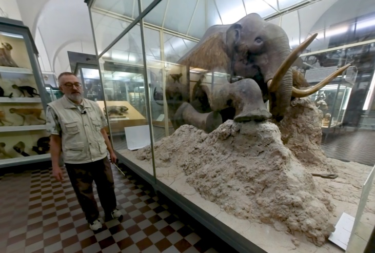 Зоологический музей создал первую поэтическую экскурсию3