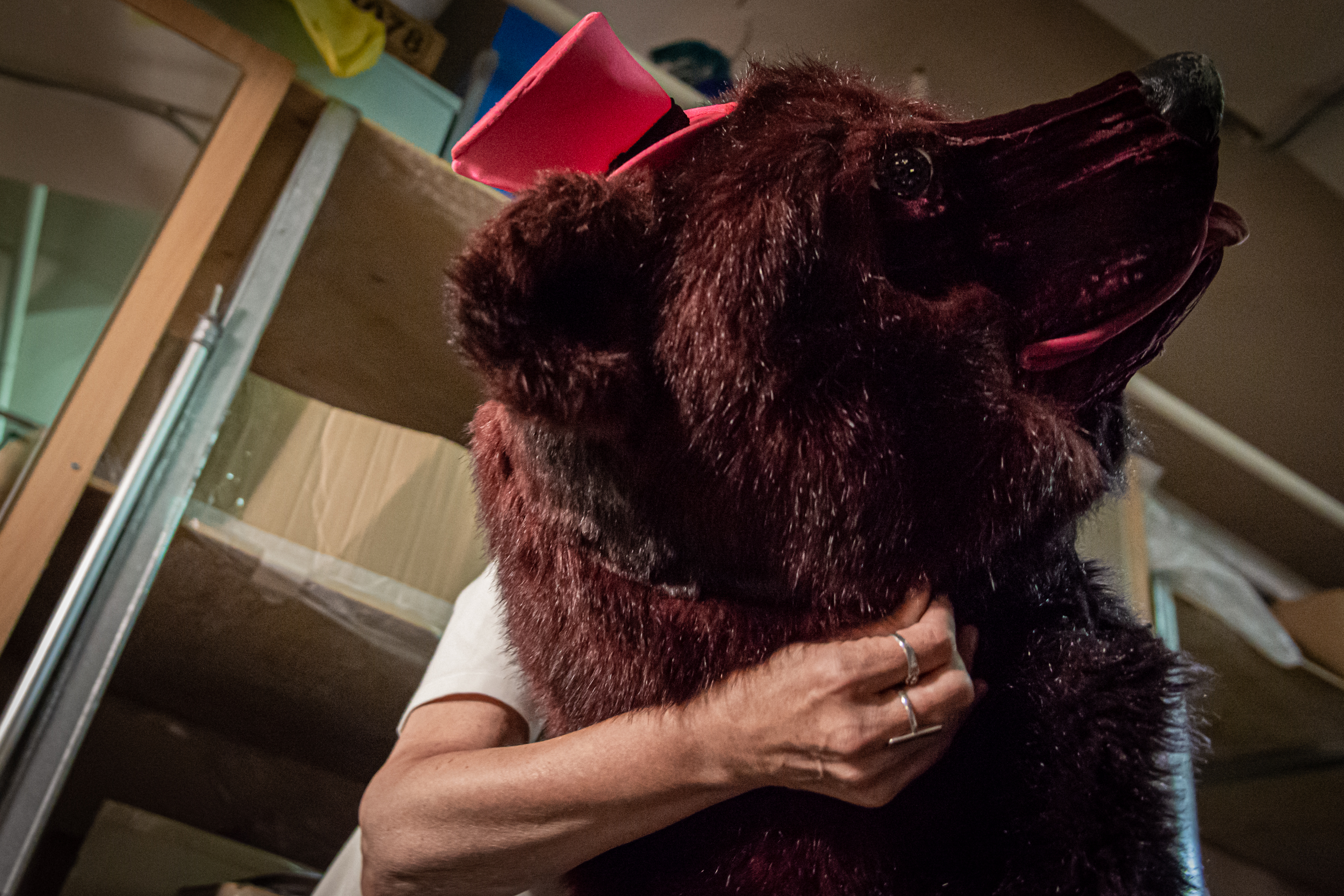 Проход за кулисы разрешен!10