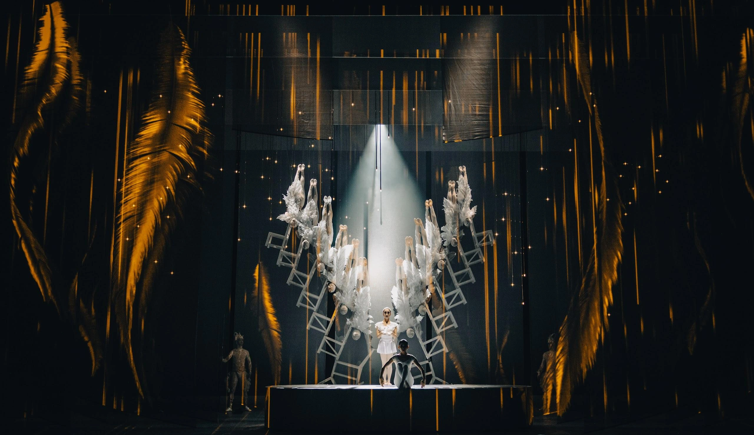 Китайские артисты-виртуозы удивят петербуржцев драмой «Лебедь» 2