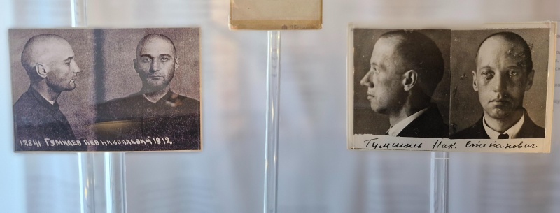 Обложка: Фонтанный дом открывает выставку к 140-летию Николая Гумилёва 