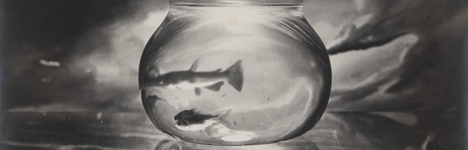 Обложка: Carlo Mantovani - Pesci rossi (1950-e)