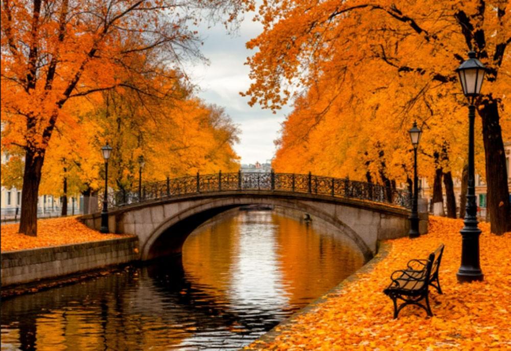 Архив СПБ ГБУК "ЦБС Кировского района"