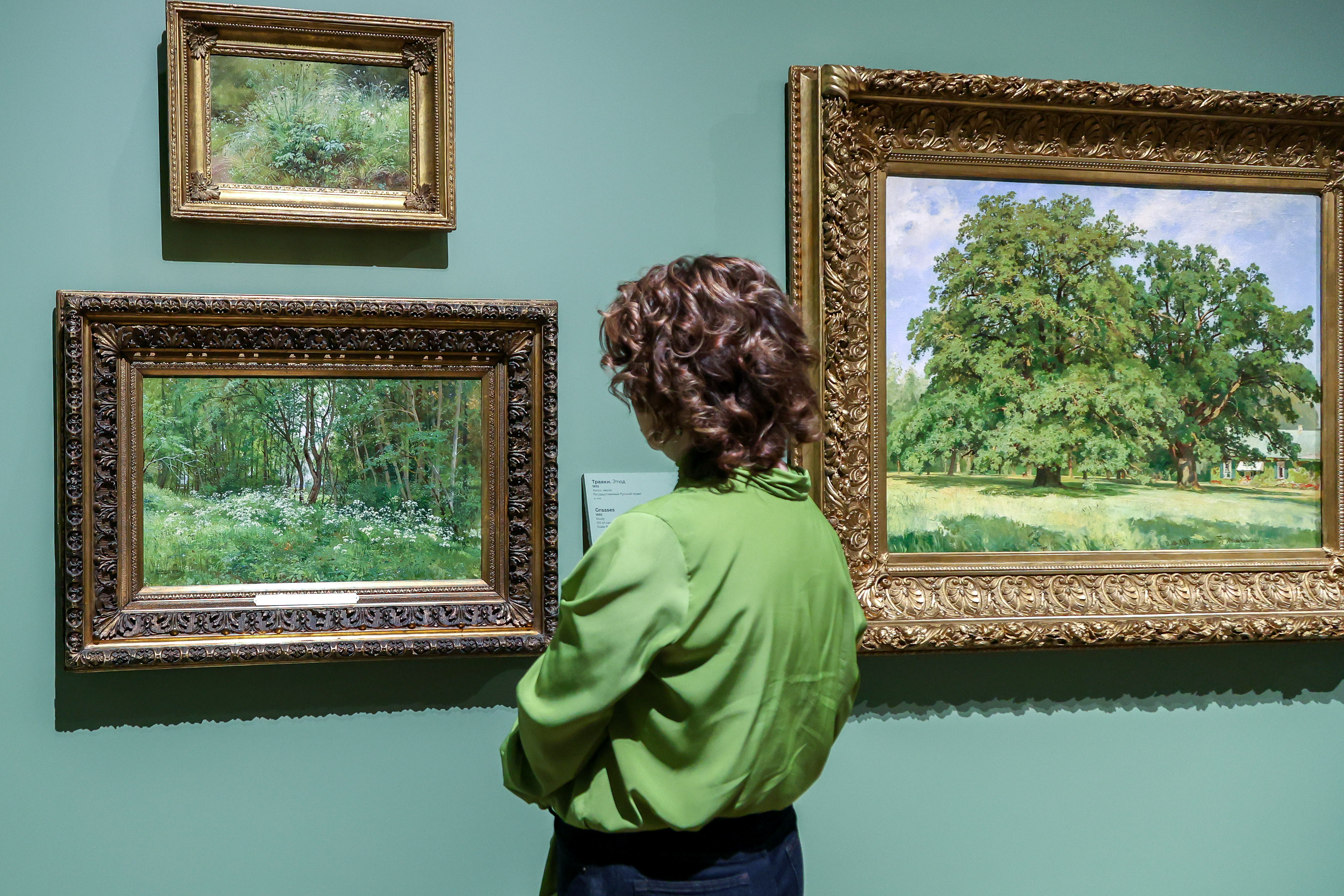 Русский музей отметил день рождения выставкой «Иван Шишкин. Русский лес»1