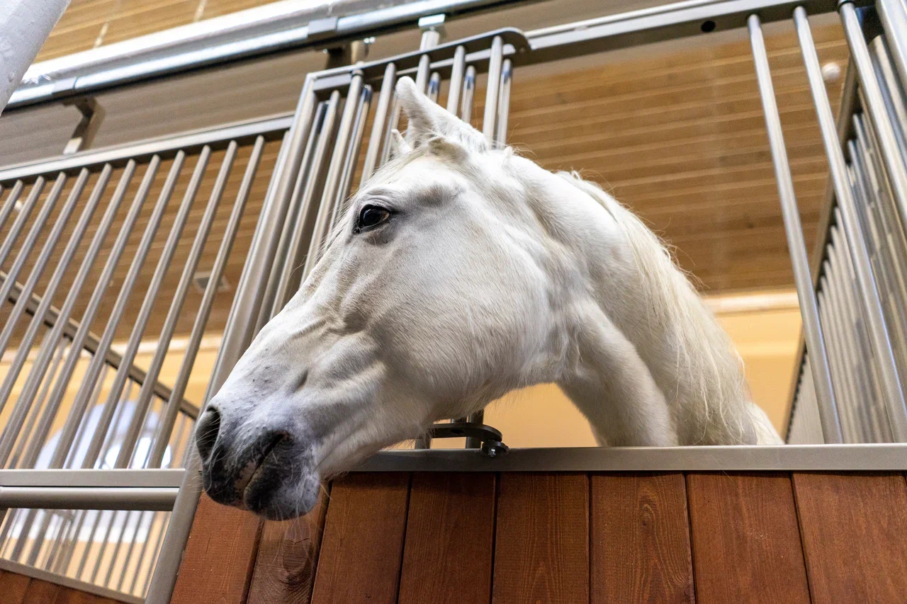 В «Царском Селе» завершилась реставрация Императорской фермы  2