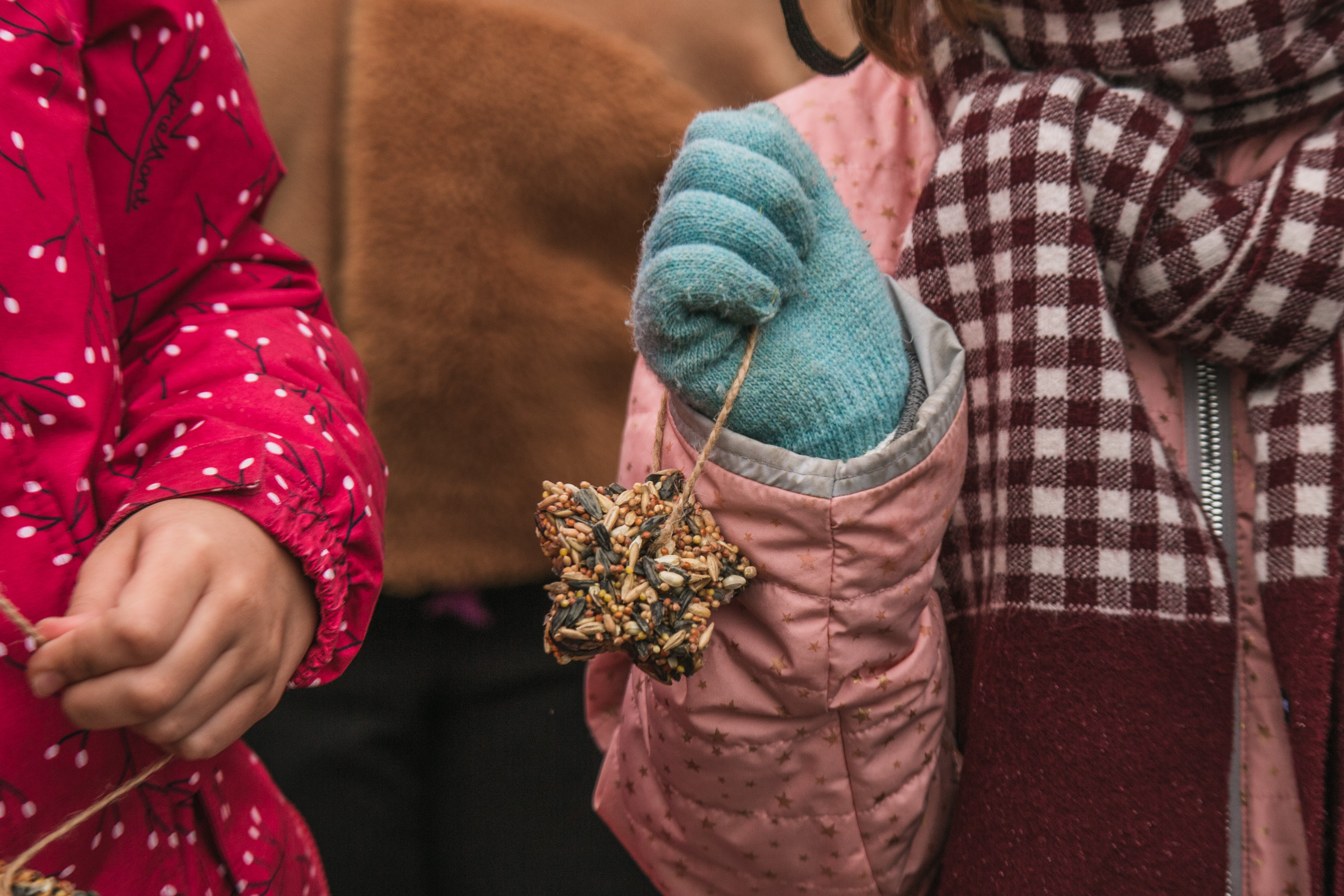 В Летнем саду настанет «Синичкин день» 4