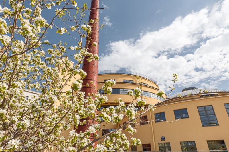 Правообладатель фото: Пресс-служба PR-агентства «Пресс-Папье».