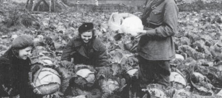 Петербуржцев приглашают поделиться творческими работами, отражающими героизм и стойкость жителей блокадного Ленинграда