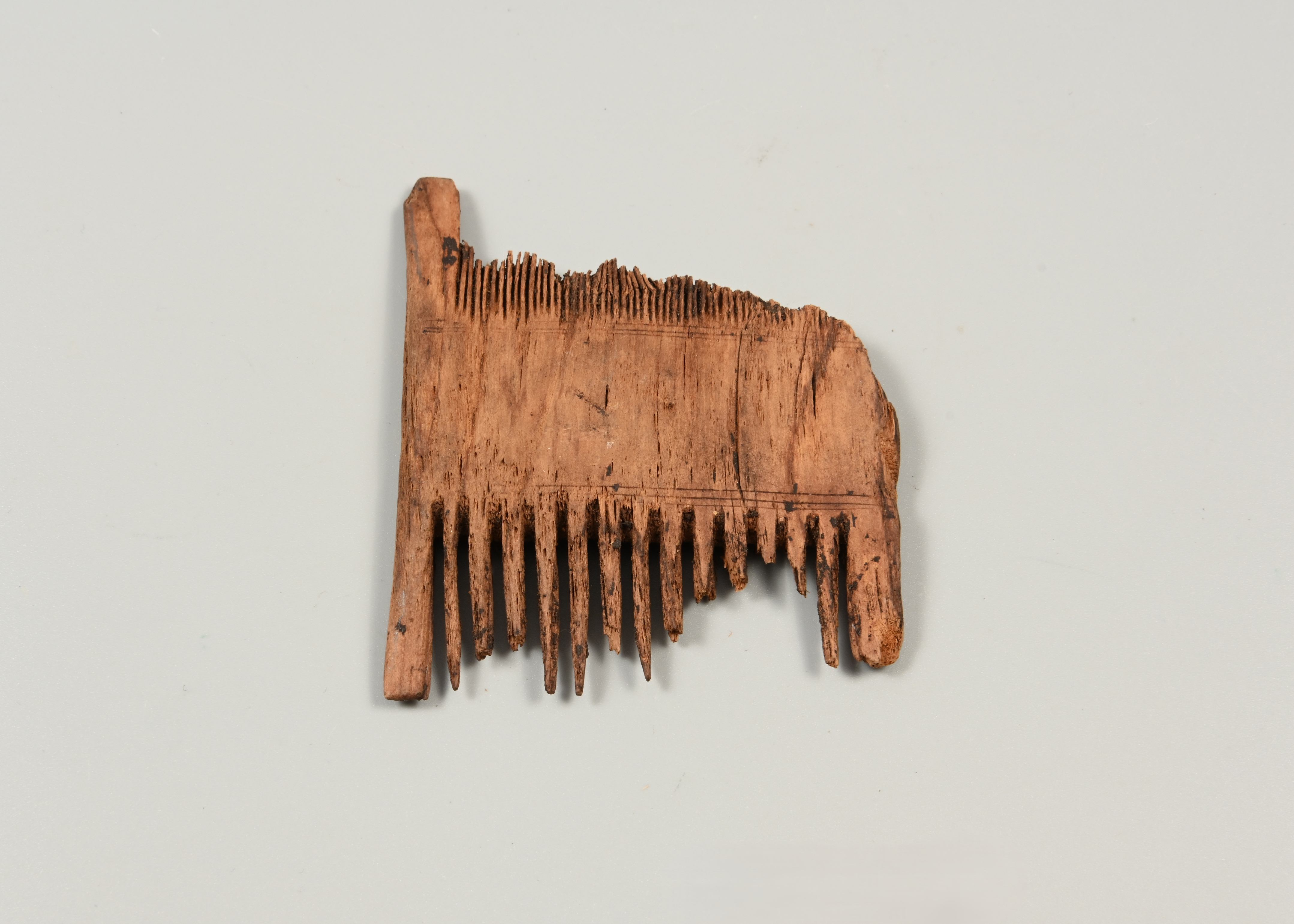 Крепость как «живую сцену» можно увидеть на выставке в Петропавловке2