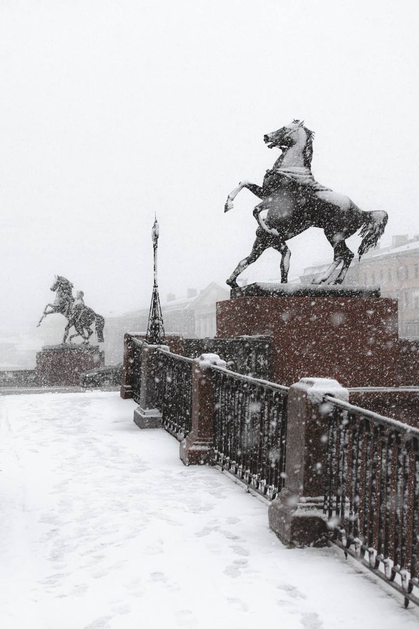 «сНежное сердце» забьётся в медиацентре «Культура Петербурга» 10