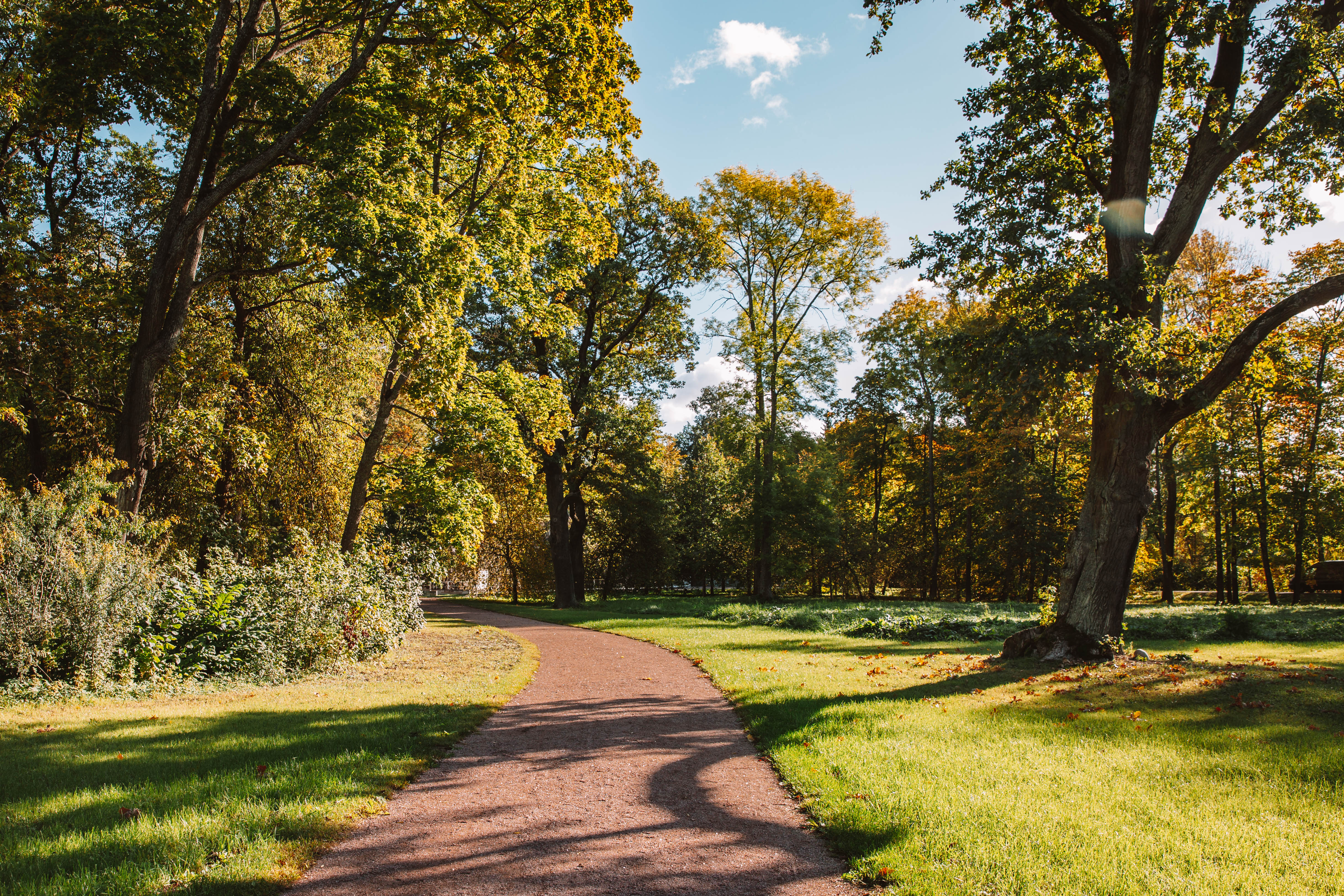 Обновленный царскосельский Александровский парк ждет романтичных любителей прогулок1