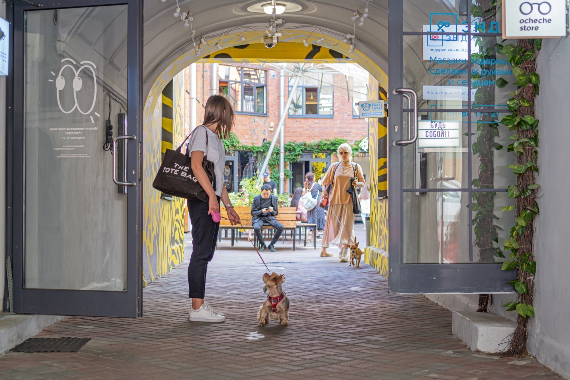 Культурный dog-friendly: пустить, нельзя оставить Культурный dog-friendly: пустить, нельзя оставить