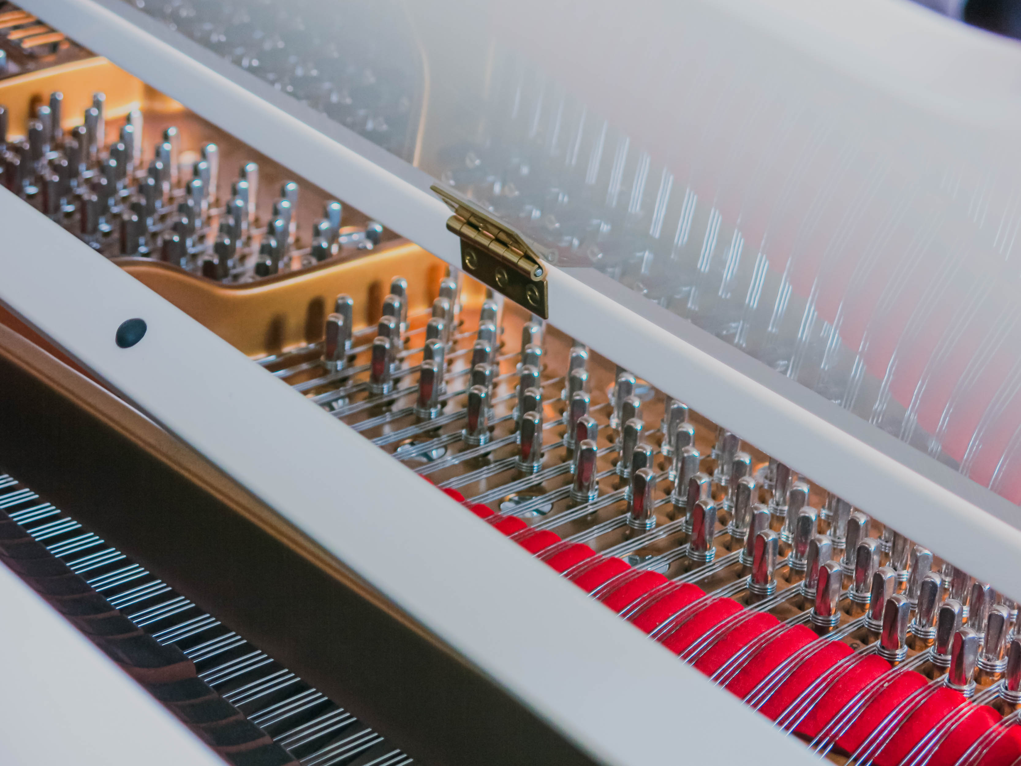 Культура и глухие — встреча на высоте над городом30