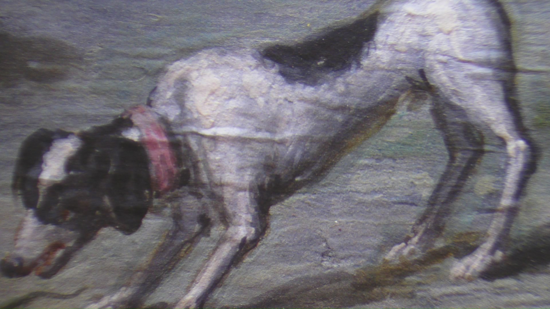 Для реставрации музейных шедевров Павловска применили клей из японских водорослей фунори9