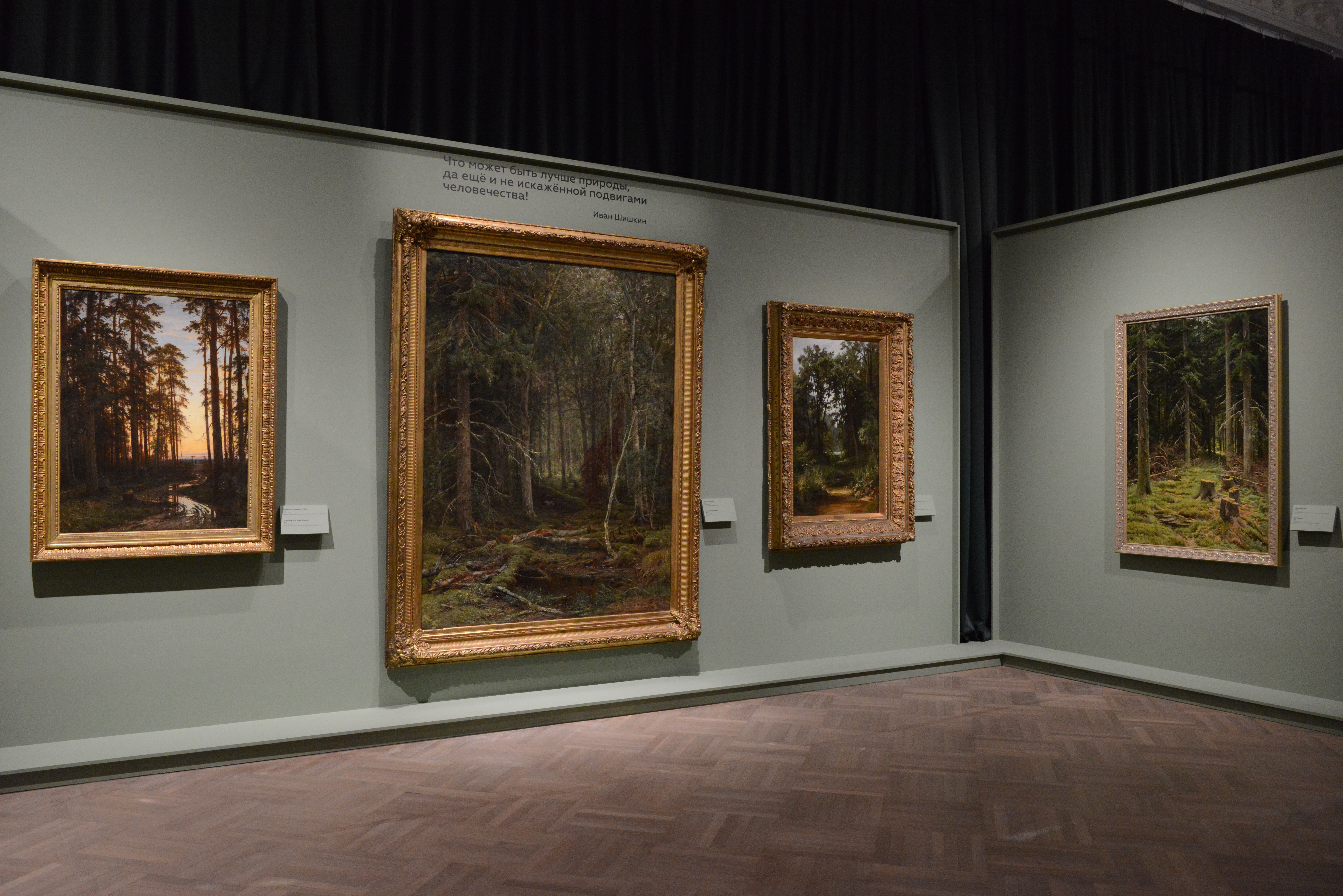 Русский музей отметил день рождения выставкой «Иван Шишкин. Русский лес»2