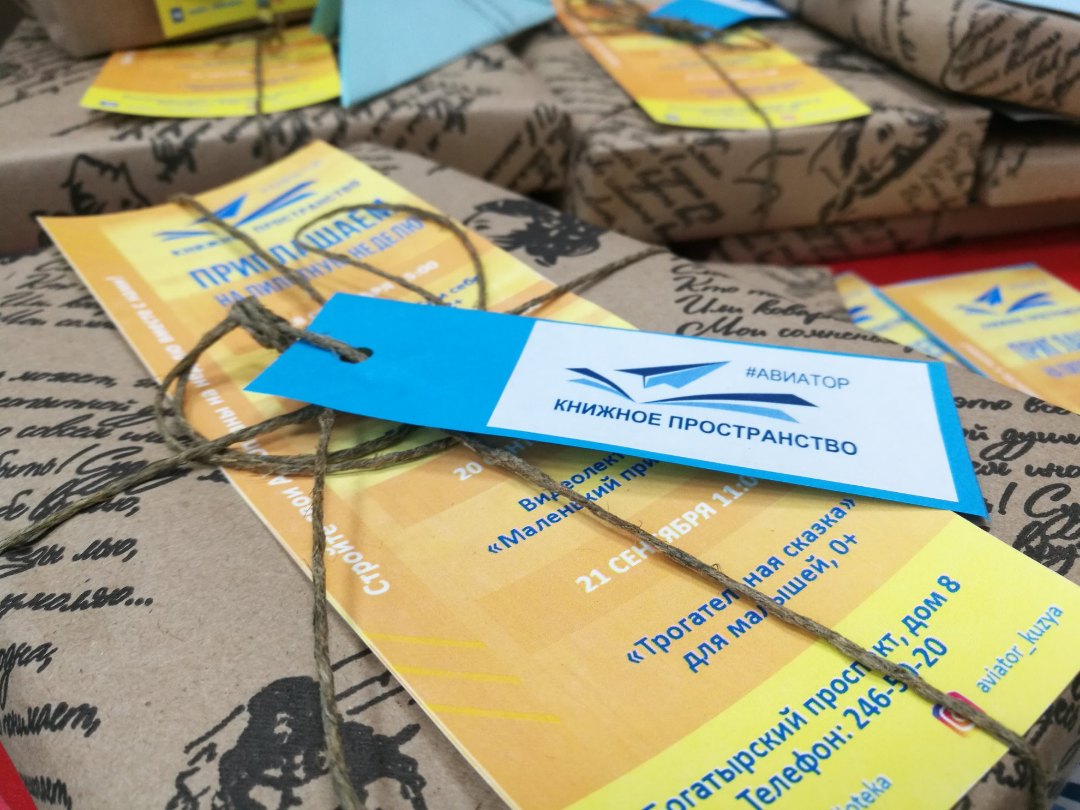 Книжное пространство «Авиатор» 0