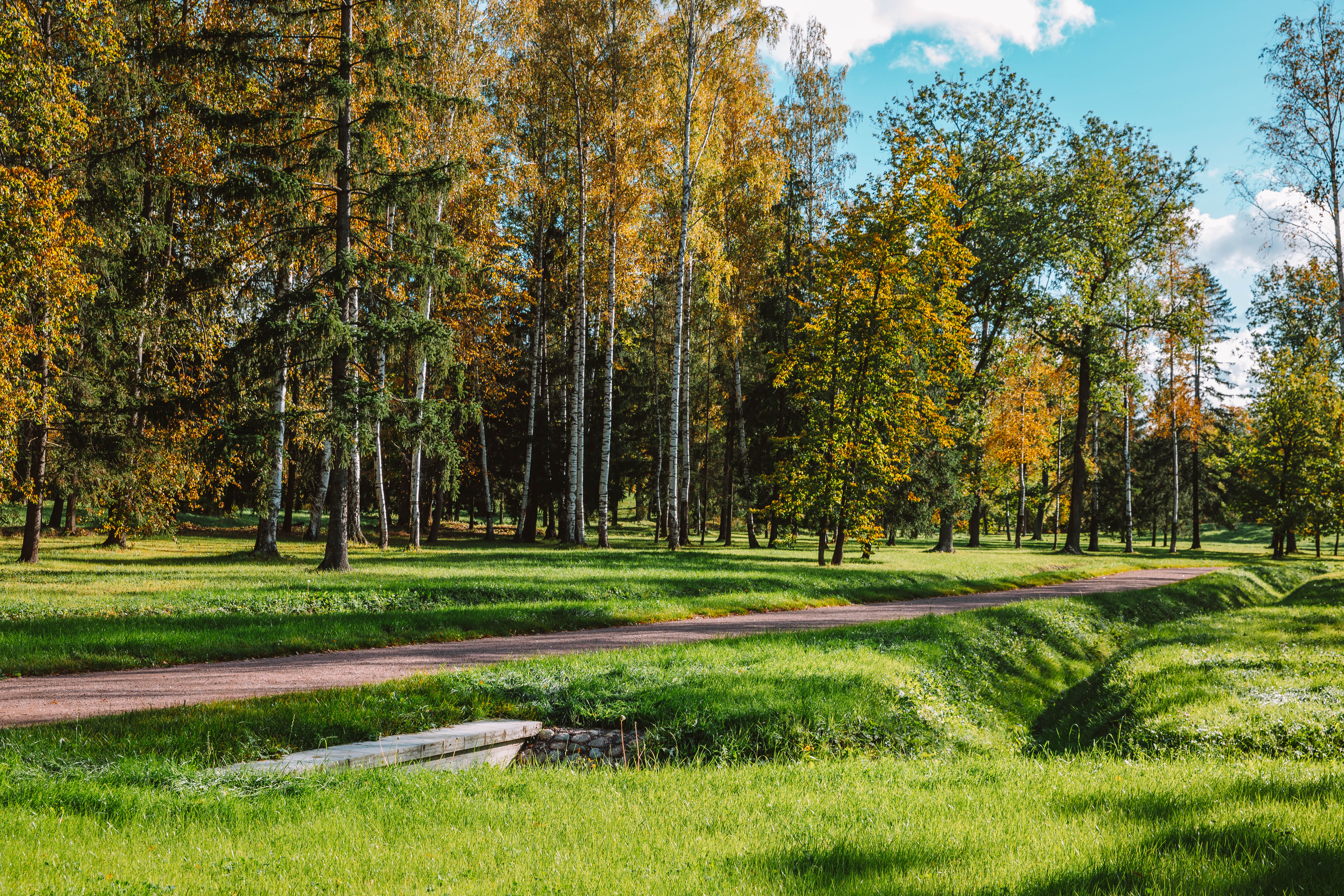 Обновленный царскосельский Александровский парк ждет романтичных любителей прогулок3