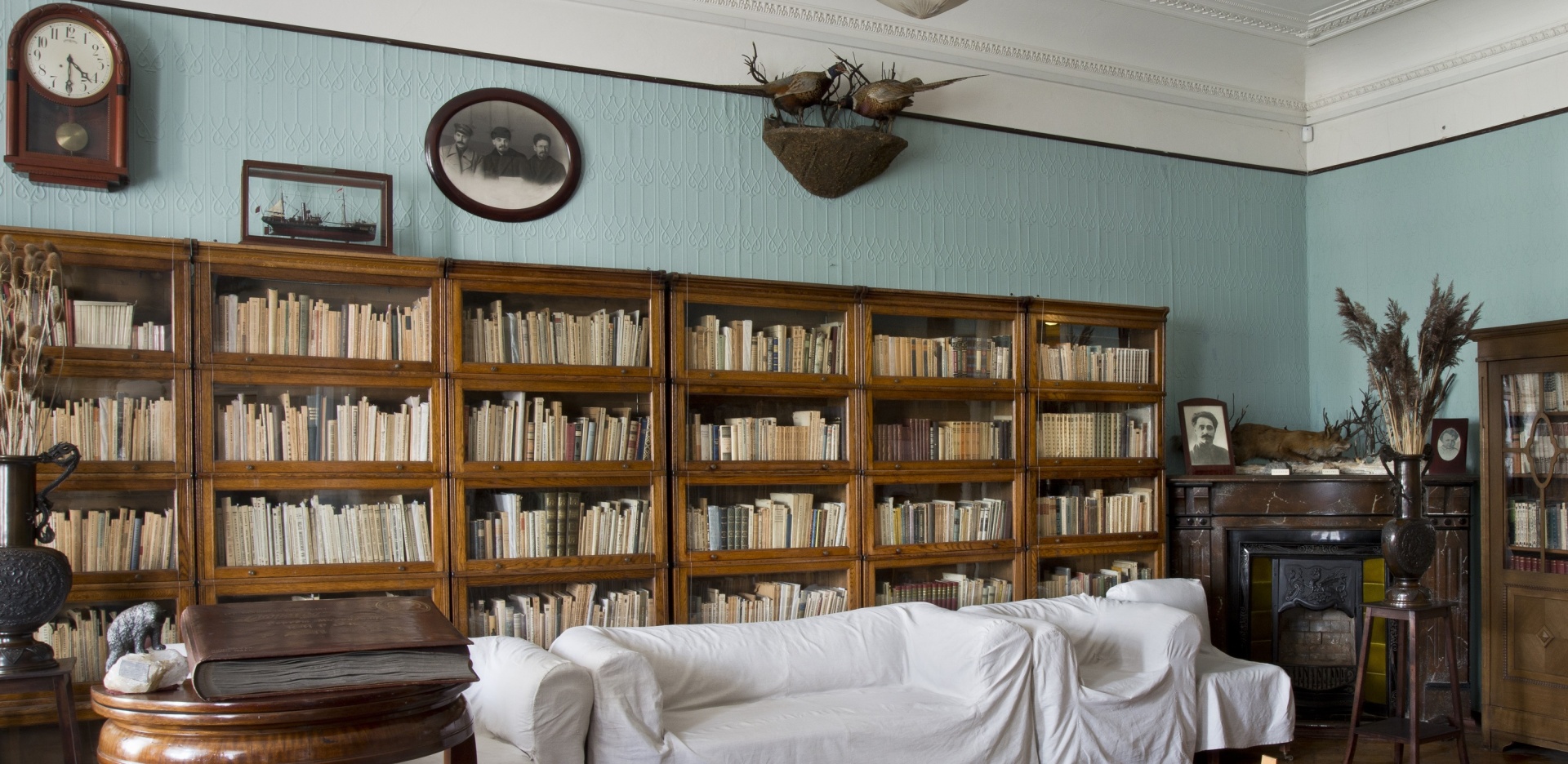 «В нашей квартире собаки и кот» - выставка в Музее Кирова