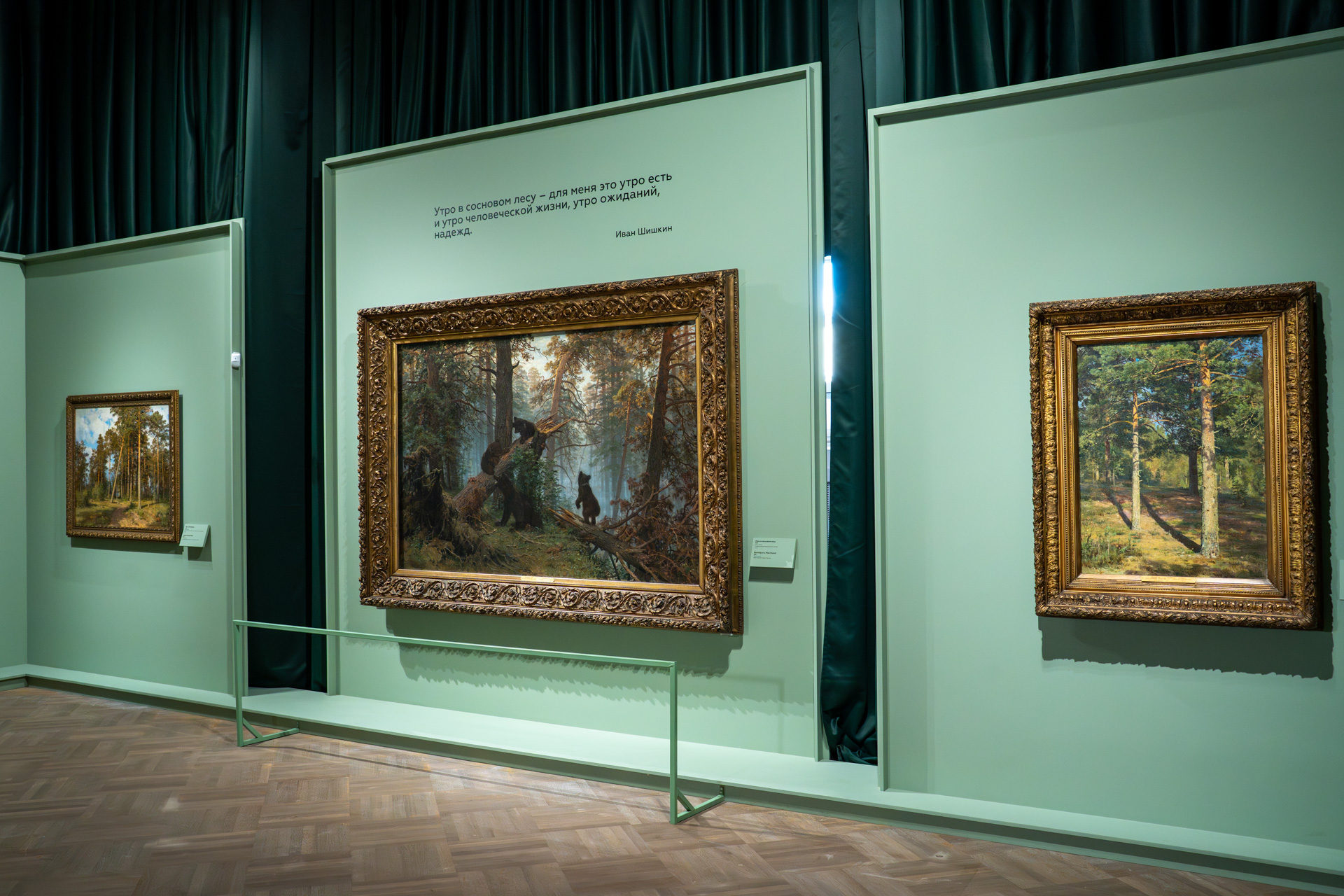 Русский музей отметил день рождения выставкой «Иван Шишкин. Русский лес»6