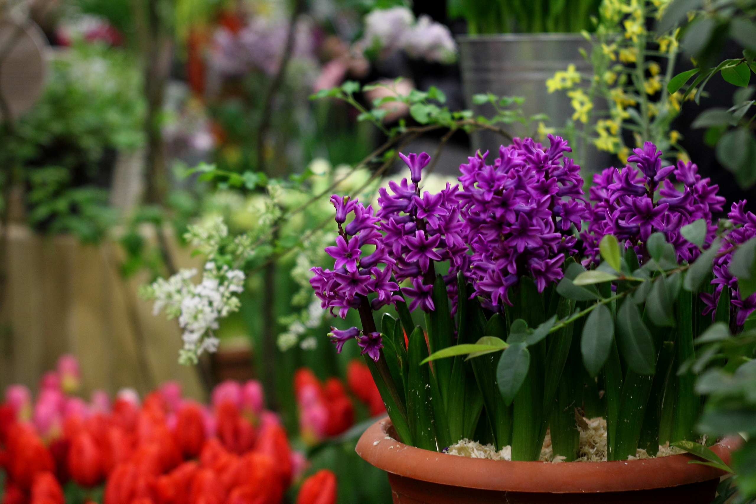 Свидание в Петербурге: куда пойти вдвоём с 27 февраля по 1 марта 2026 года1