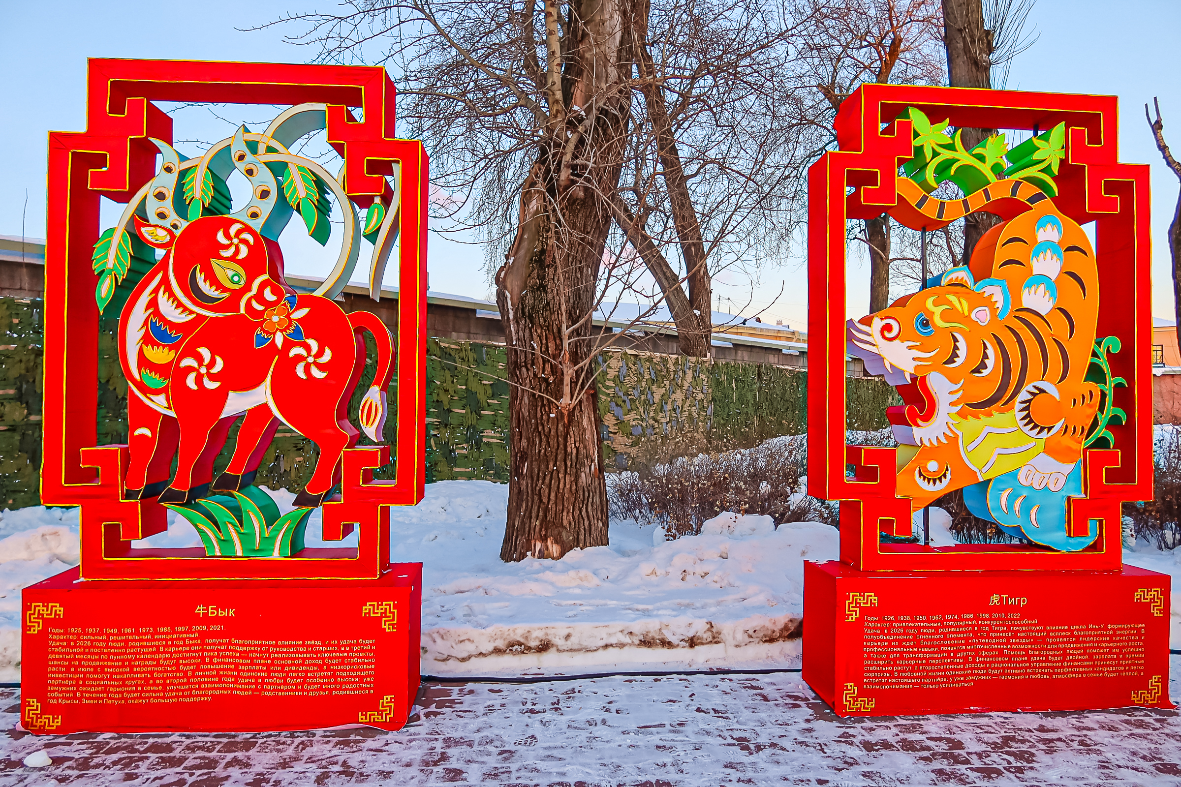 Драконы и фениксы из Цзыгуна поселились на Заячьем острове2