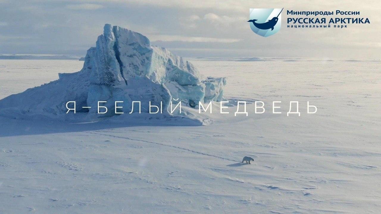 Национальный парт "Русская Арктика"