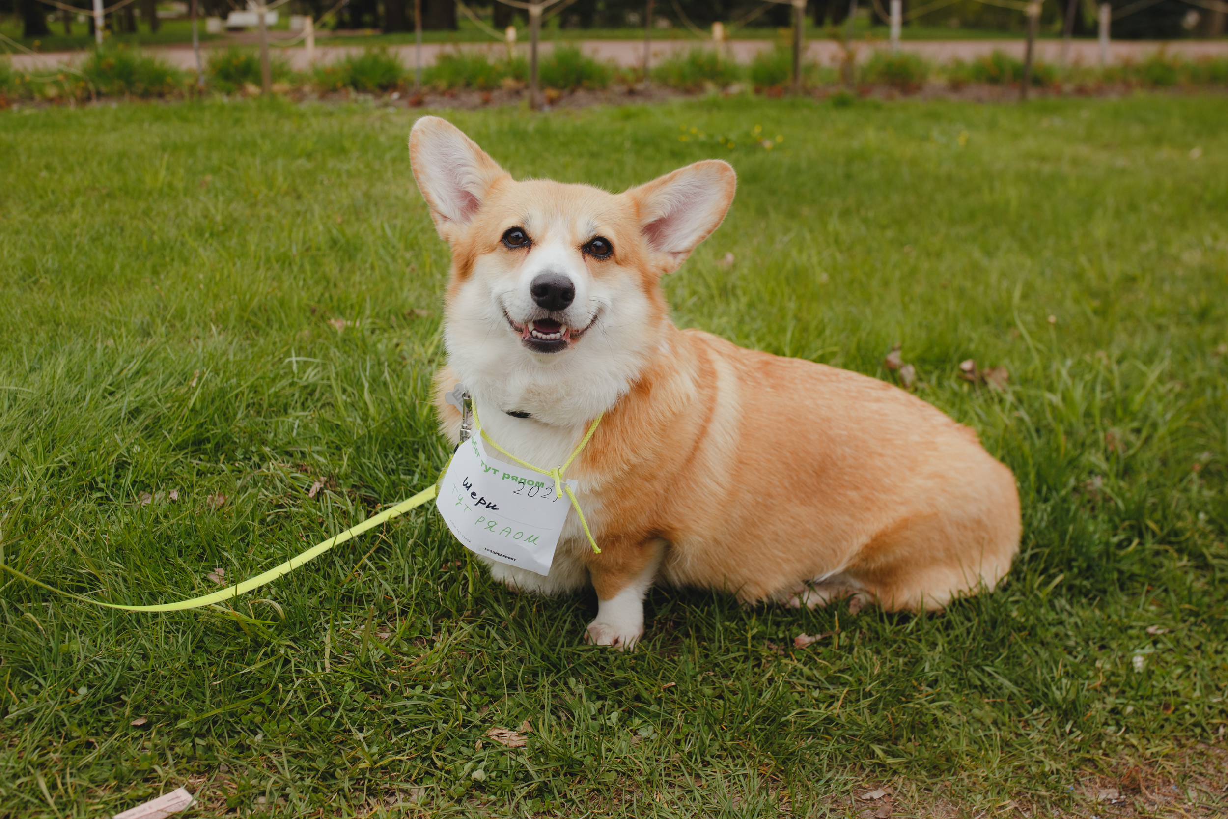 Забег фонда «Антон тут рядом» напомнит, что кругом бегает любовь 2